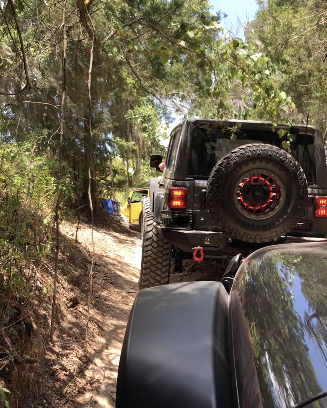 Jeep Wrangler JL Florida Off-Roading F2D01019-EC40-4DF1-B0B5-17CBA044E764