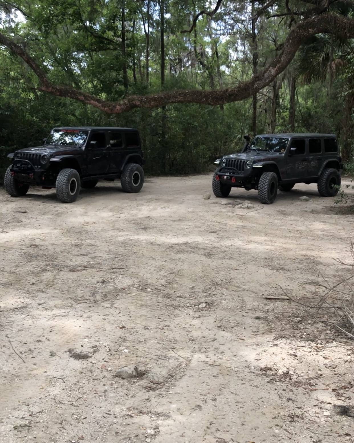 Jeep Wrangler JL Florida Off-Roading EA6FD63A-3954-441F-A38C-A25AB1840317