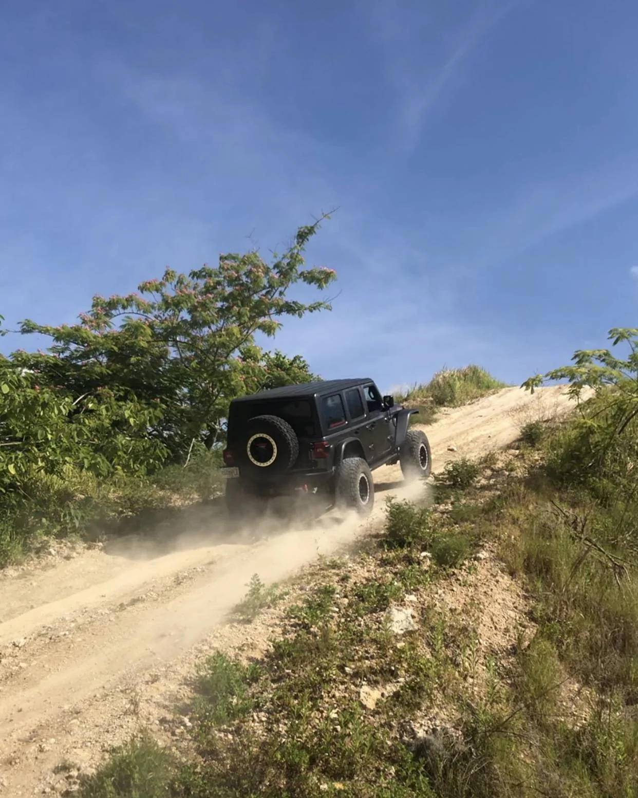 Jeep Wrangler JL Florida Off-Roading EFF02E88-47F4-4719-B084-CE58F1D79654