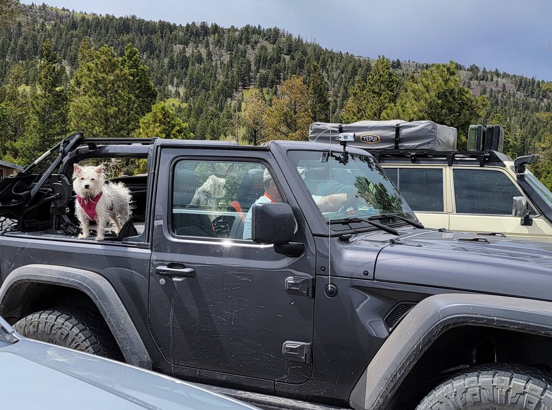 Jeep Wrangler JL How do you roll with your back seat? 194760760_914063522783062_937284037861026262_n