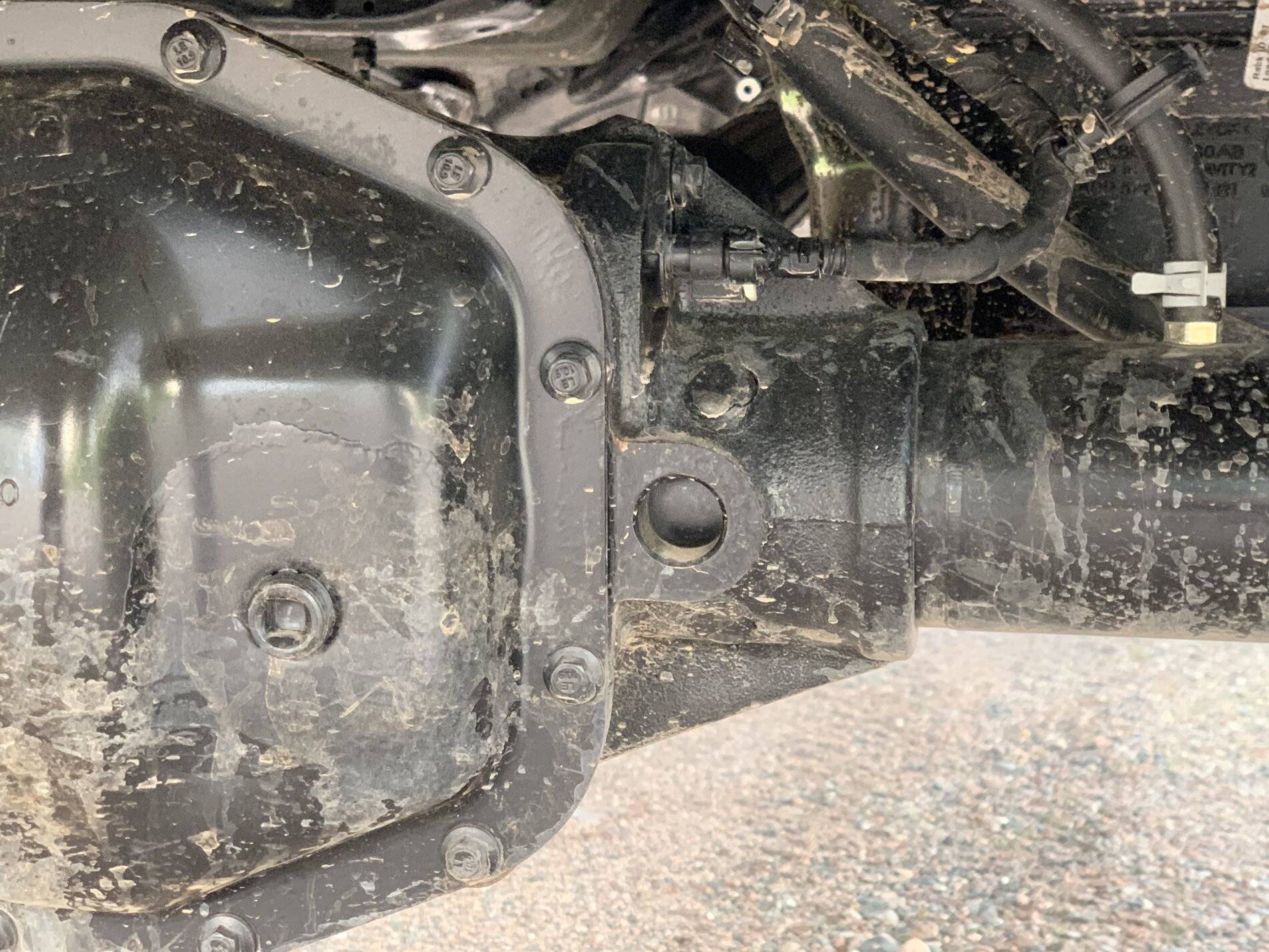Jeep Wrangler JL Average Delivery time in Canada 434636B6-5CAC-48DF-98A1-059A04D8F4D0