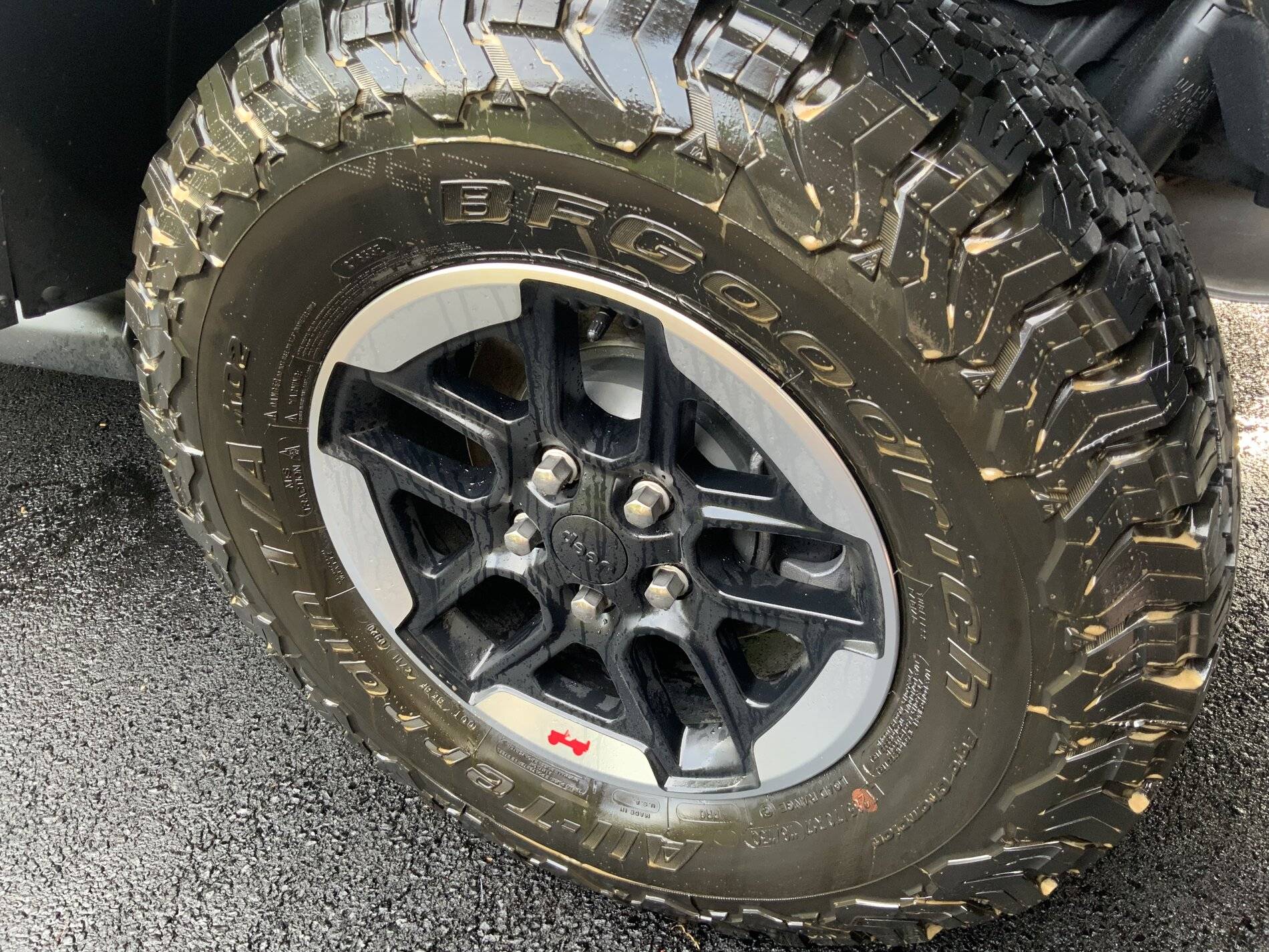 Jeep Wrangler JL Tire Shine 2AA24E06-A5D4-4E6F-A897-3CD1A0BD8469