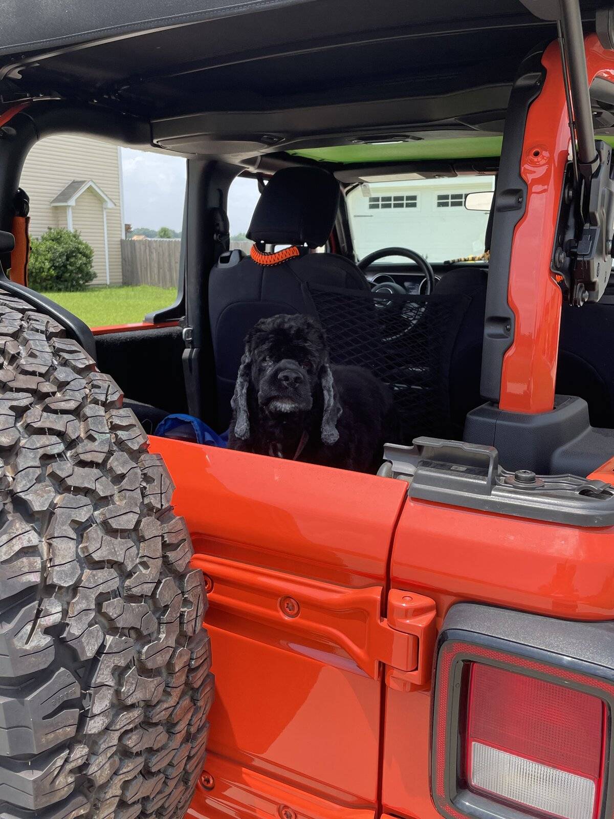 Jeep Wrangler JL Jeep Dog pics 95FF4493-2EA3-430F-9C9D-3F213A5DAB65