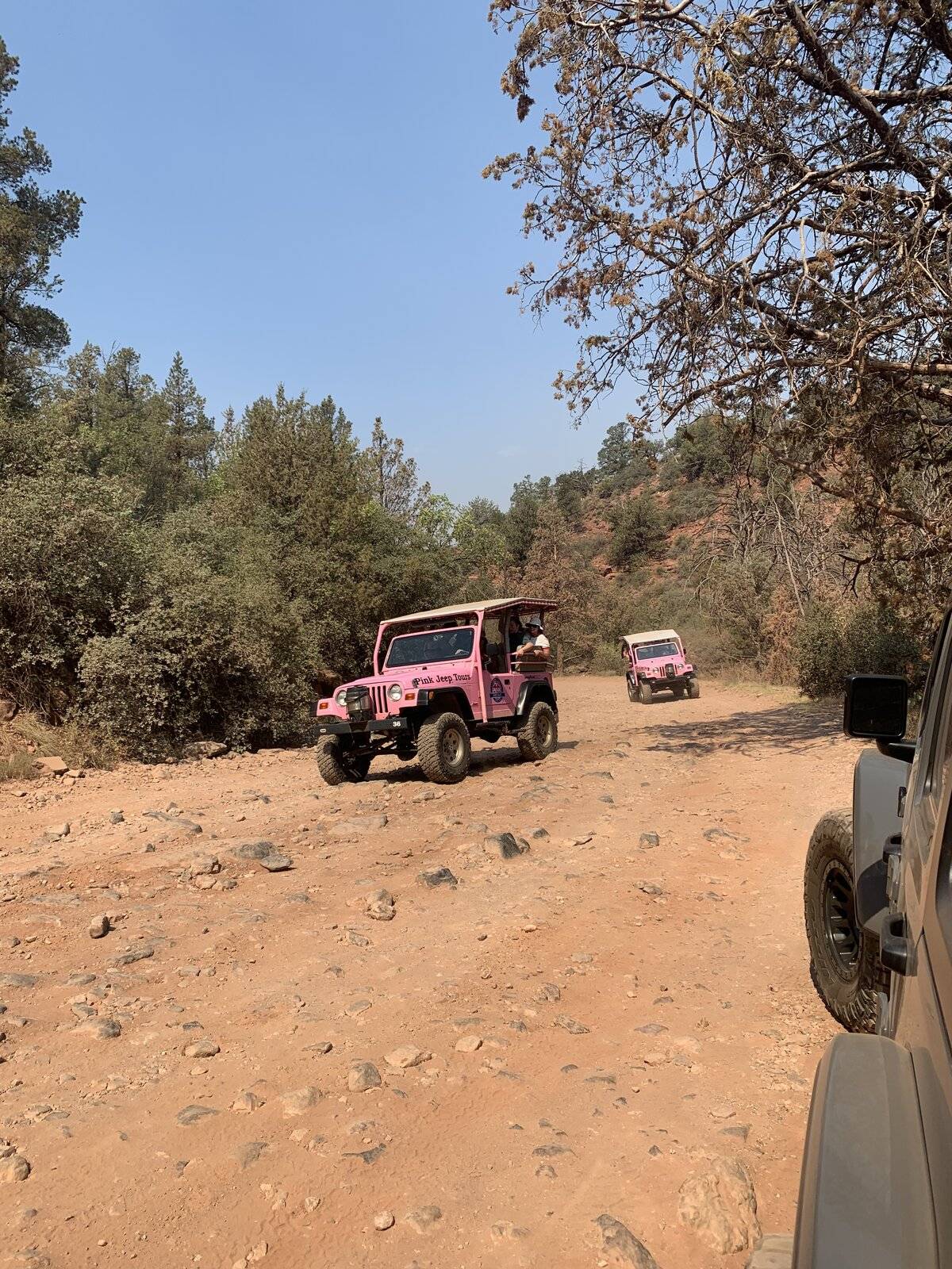 Jeep Wrangler JL some Sedona trip pics.... tempImage4IhdZz