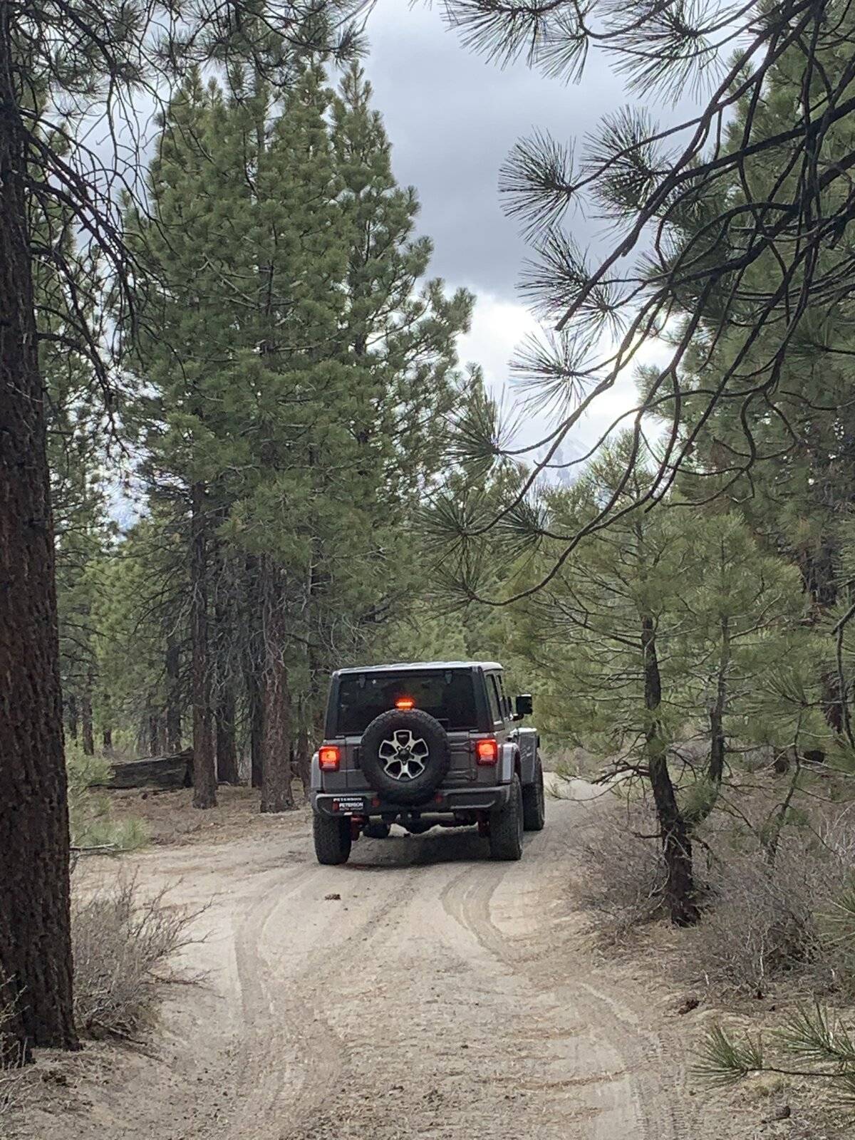 Jeep Wrangler JL Mammoth area trails IMG_9263.JPG