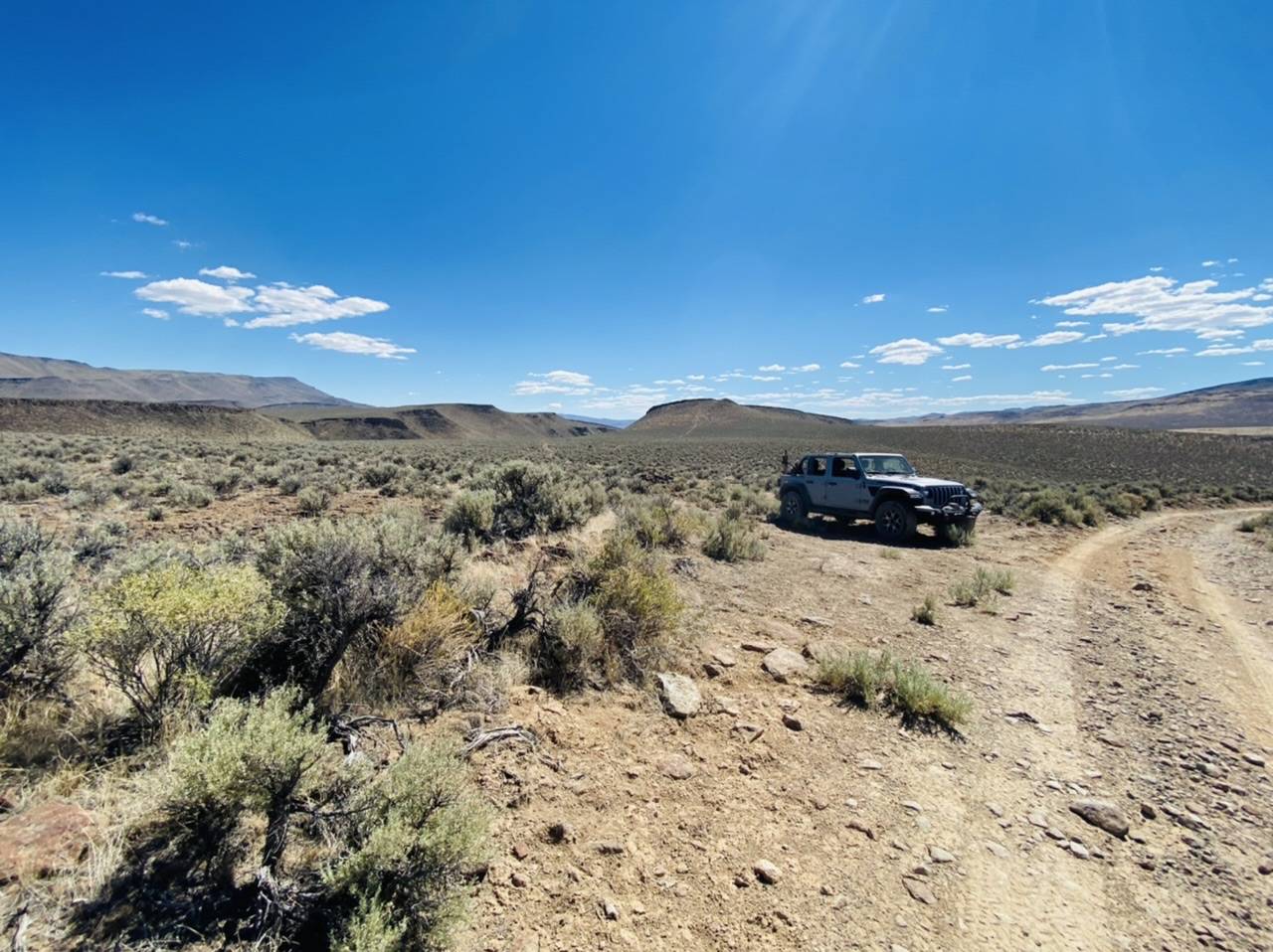 Jeep Wrangler JL Short Trip: Remote Nevada Guzzler Build D2B31F8A-CC78-4E4E-AD77-4FCB9444B12C