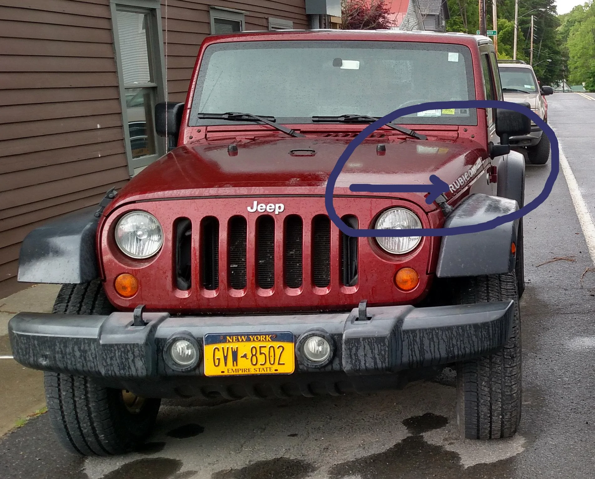tjrubi.webp