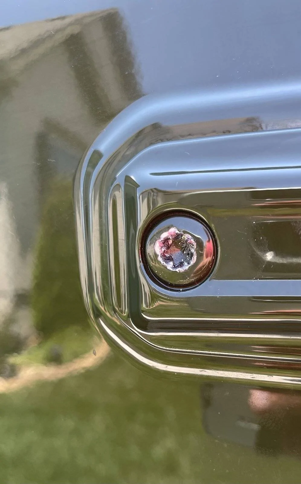 1C39CE87-BE31-4066-B129-807D497D49DF.jpeg