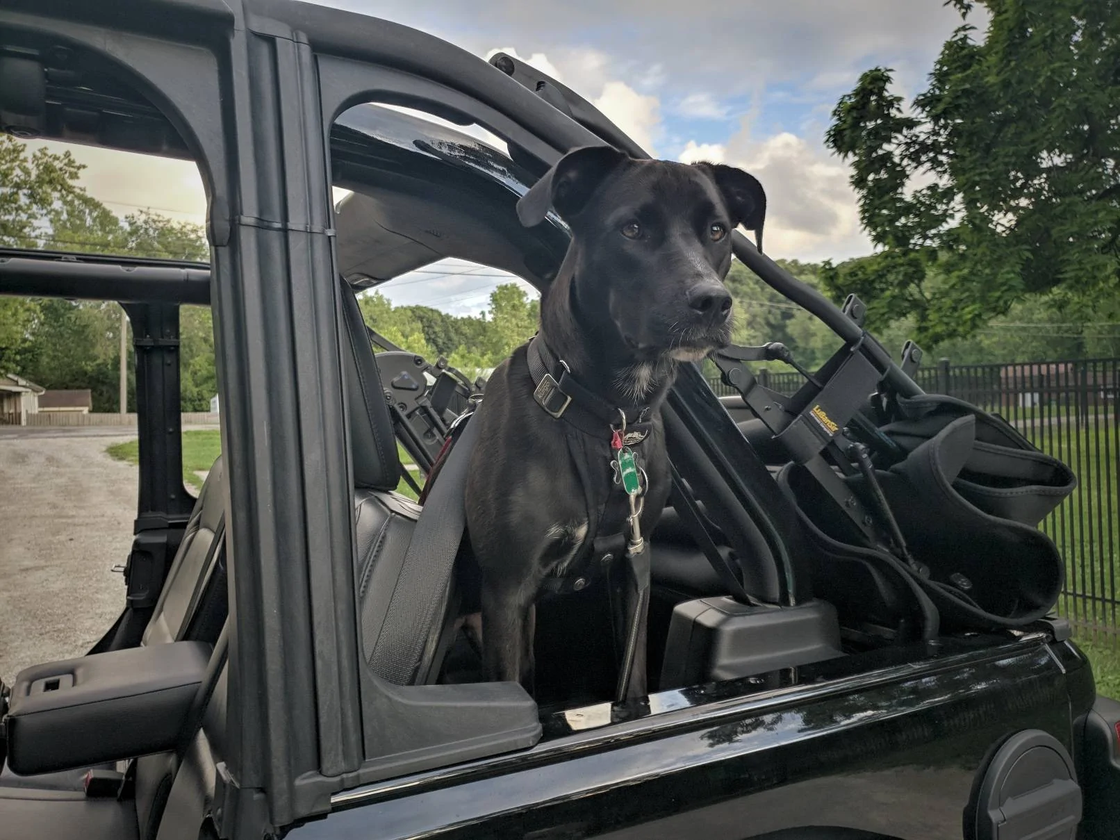 Jeep Wrangler JL Jeep Dog pics 20210712_193838