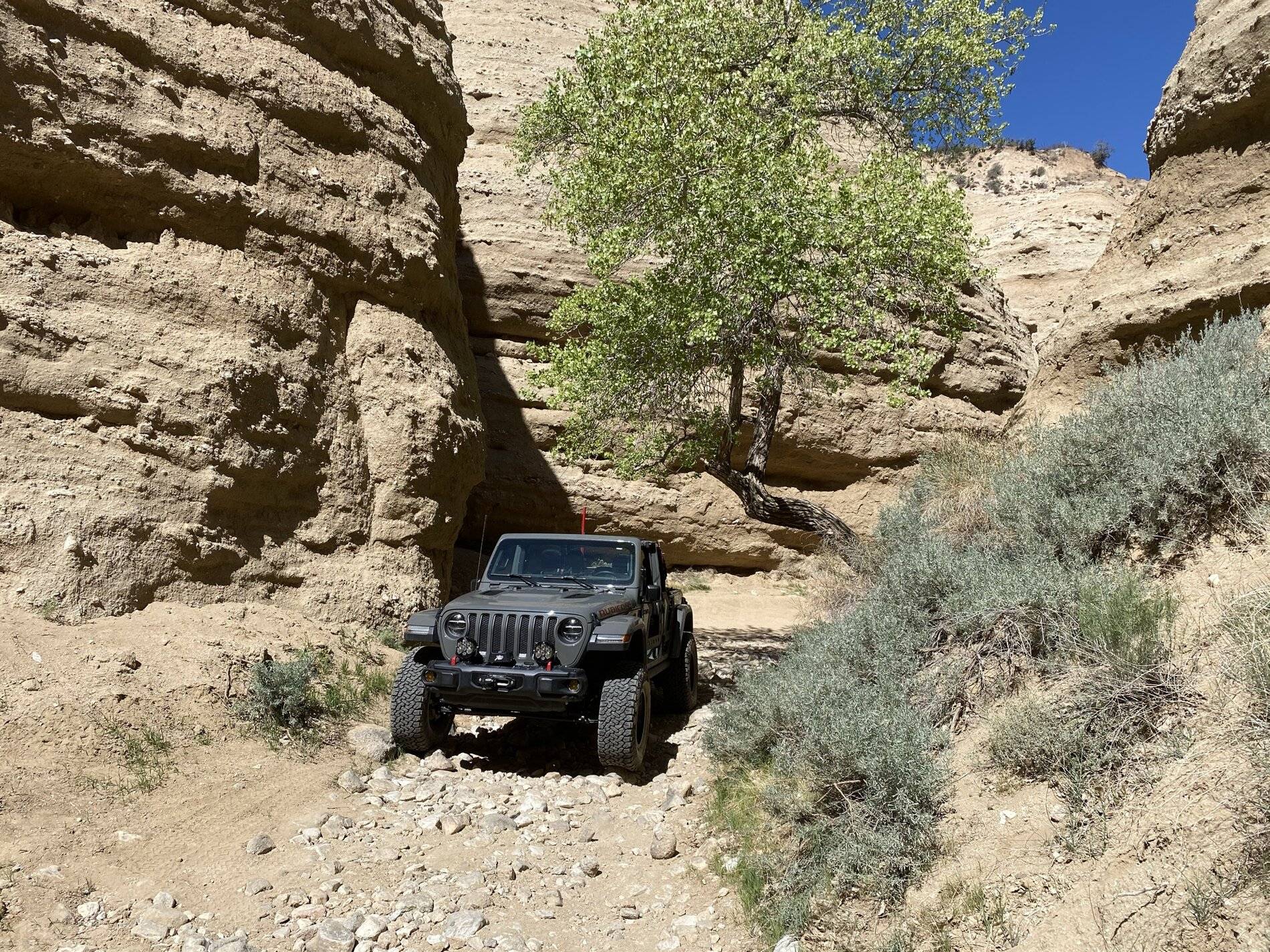 Jeep Wrangler JL 2019 JLUR Icon Build IMG_0932.JPEG