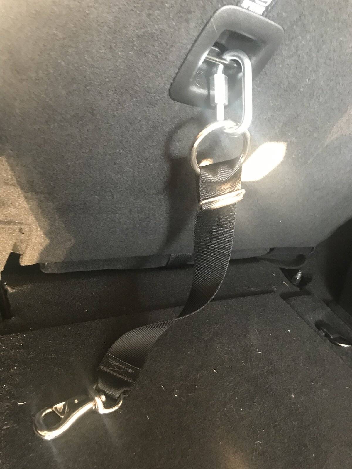 Jeep Wrangler JL So how stupid would this look? 5D07ADC5-A90E-4ABF-AF63-7A9A0979D222