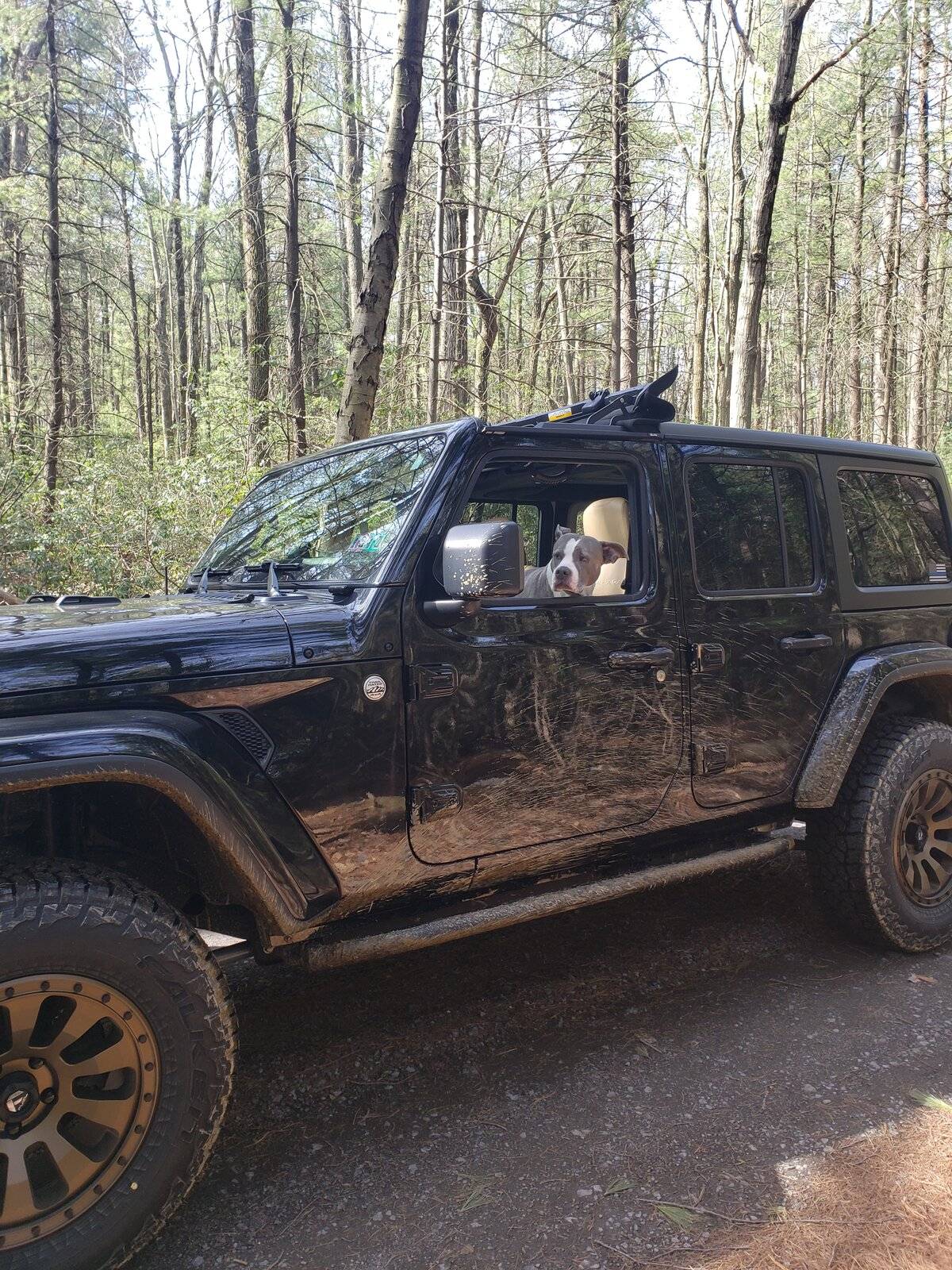 Jeep Wrangler JL Third year anniversary! 20210323_105516