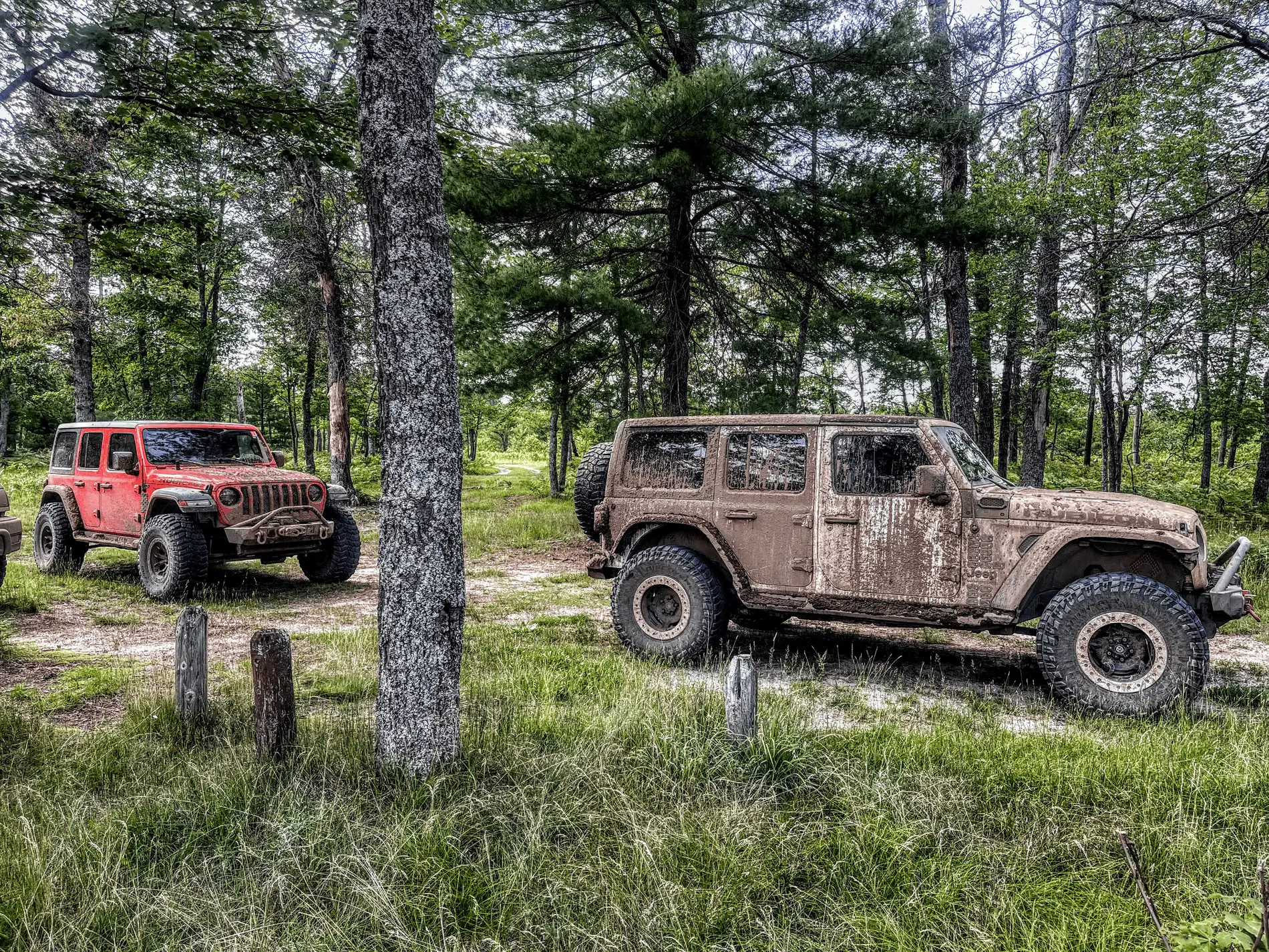 Jeep Wrangler JL The sound of a Kinetic Rope failure.  Damage and cost..... Plus photos of the wheeling and camping. 1626882826402