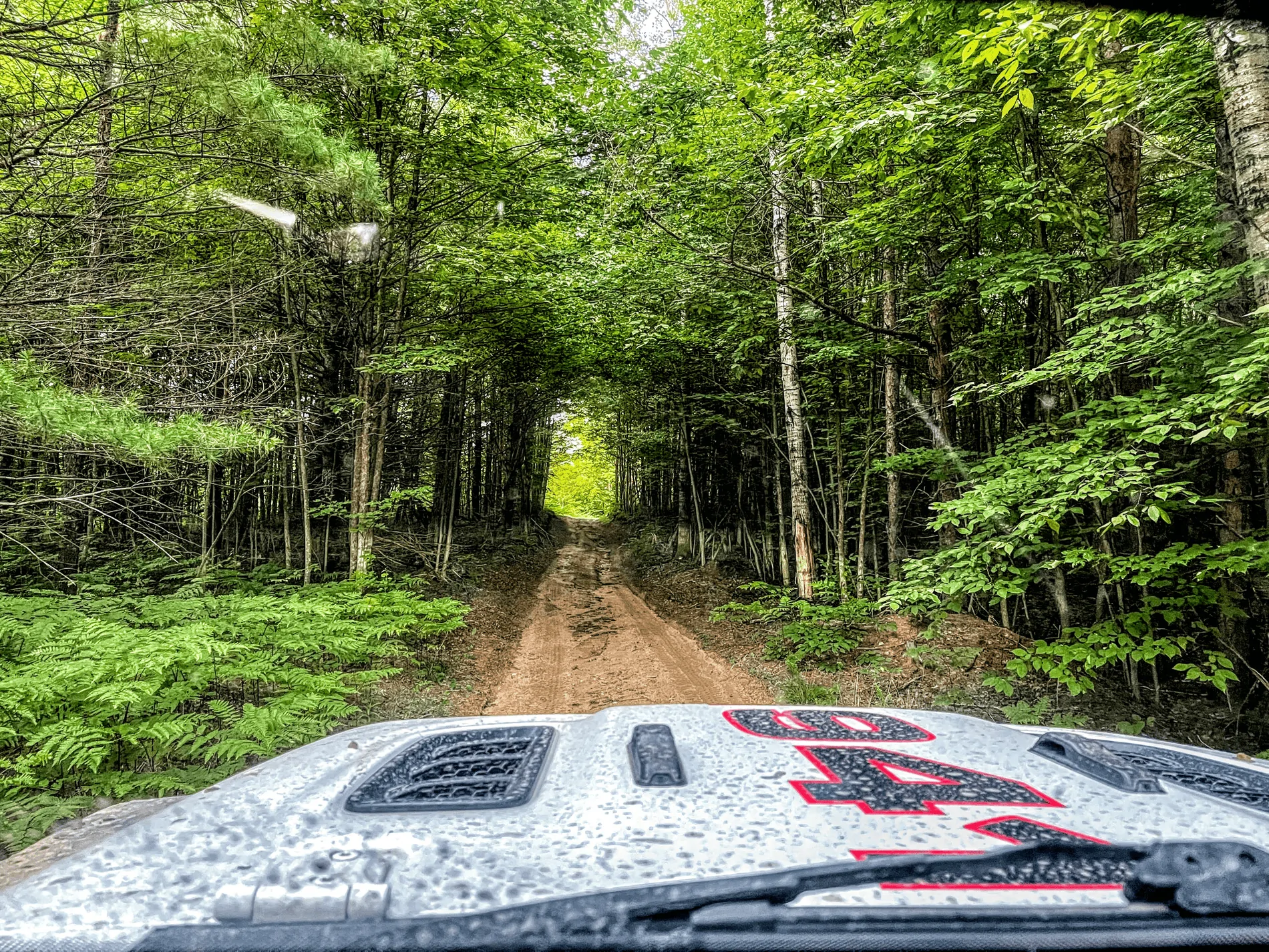Jeep Wrangler JL The sound of a Kinetic Rope failure.  Damage and cost..... Plus photos of the wheeling and camping. 1626882926334