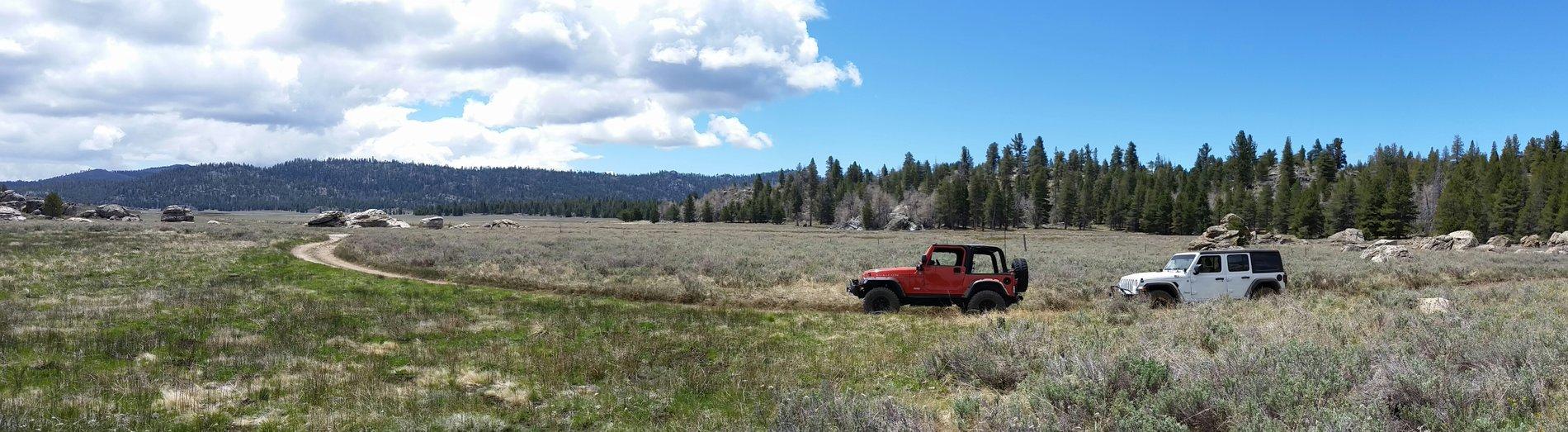 Jeep Wrangler JL Monache Meadow Trail 20180526_111904-1