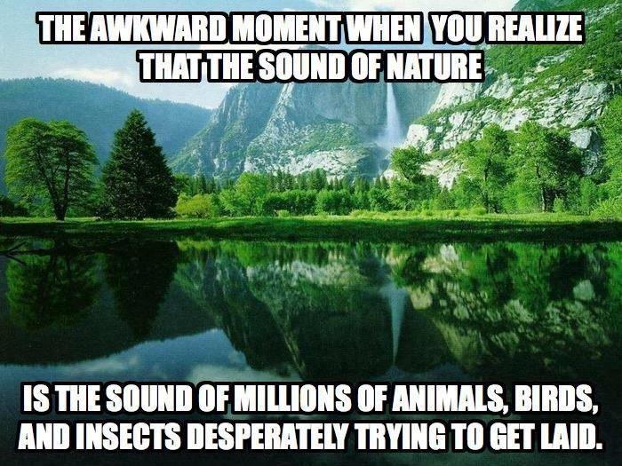 Jeep Wrangler JL Jeep humor waiting room ( ** NO POLITICS ** ) CFCA1A36-0780-4489-AACD-492B5437C4C9