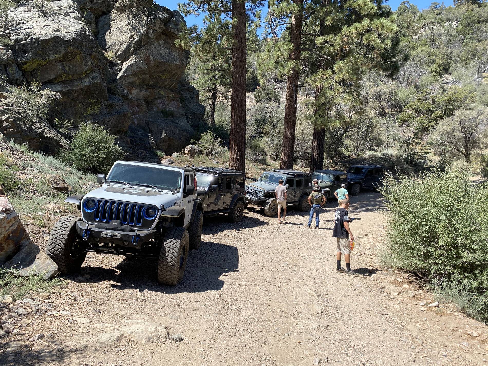 Jeep Wrangler JL Big Bear offroading 7B83CFB7-38DC-4E0B-9AB4-F67C92F562C1