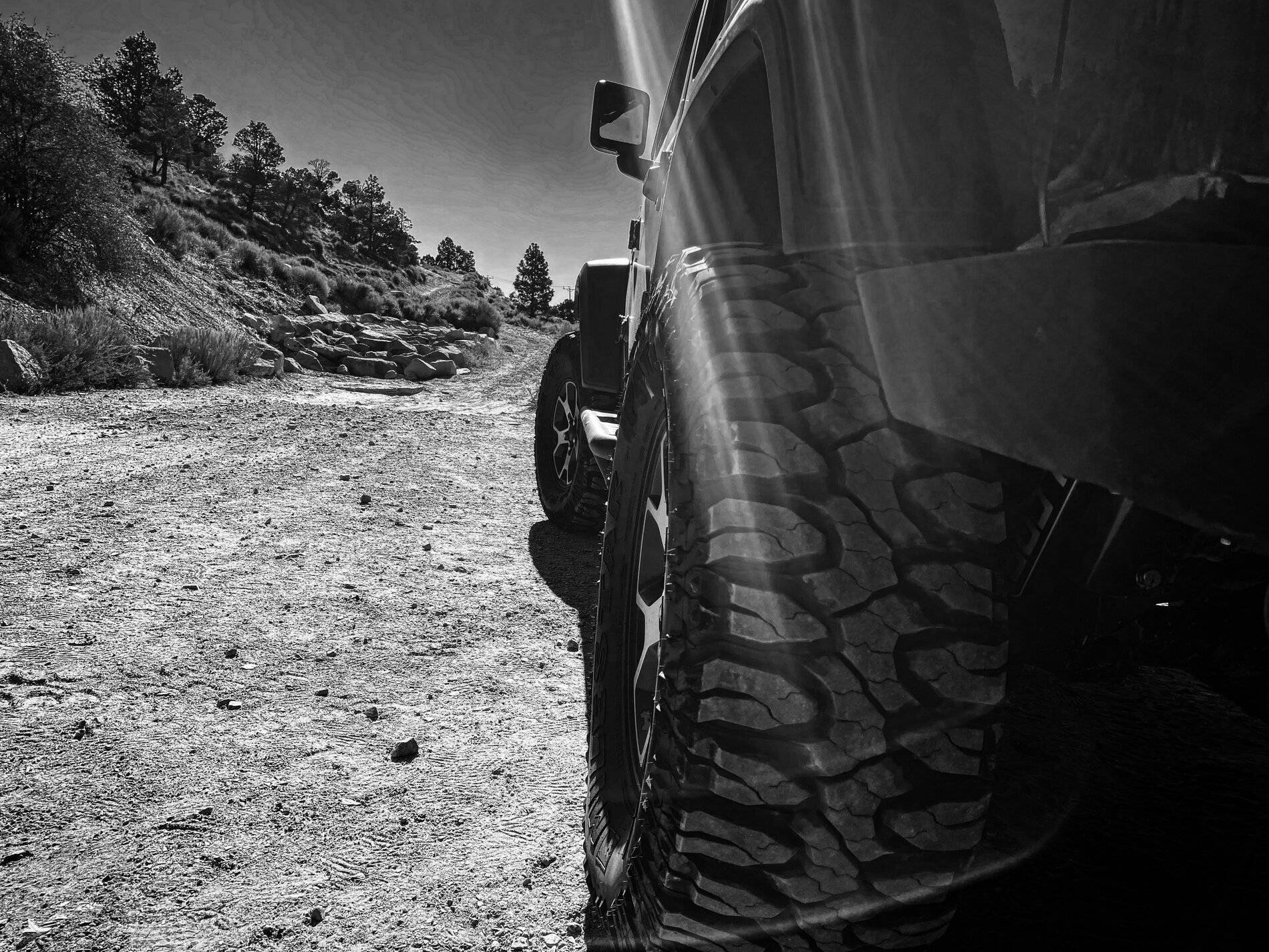 Jeep Wrangler JL Big Bear offroading 66BC0A60-B99E-43E2-8273-022F6DBB671D