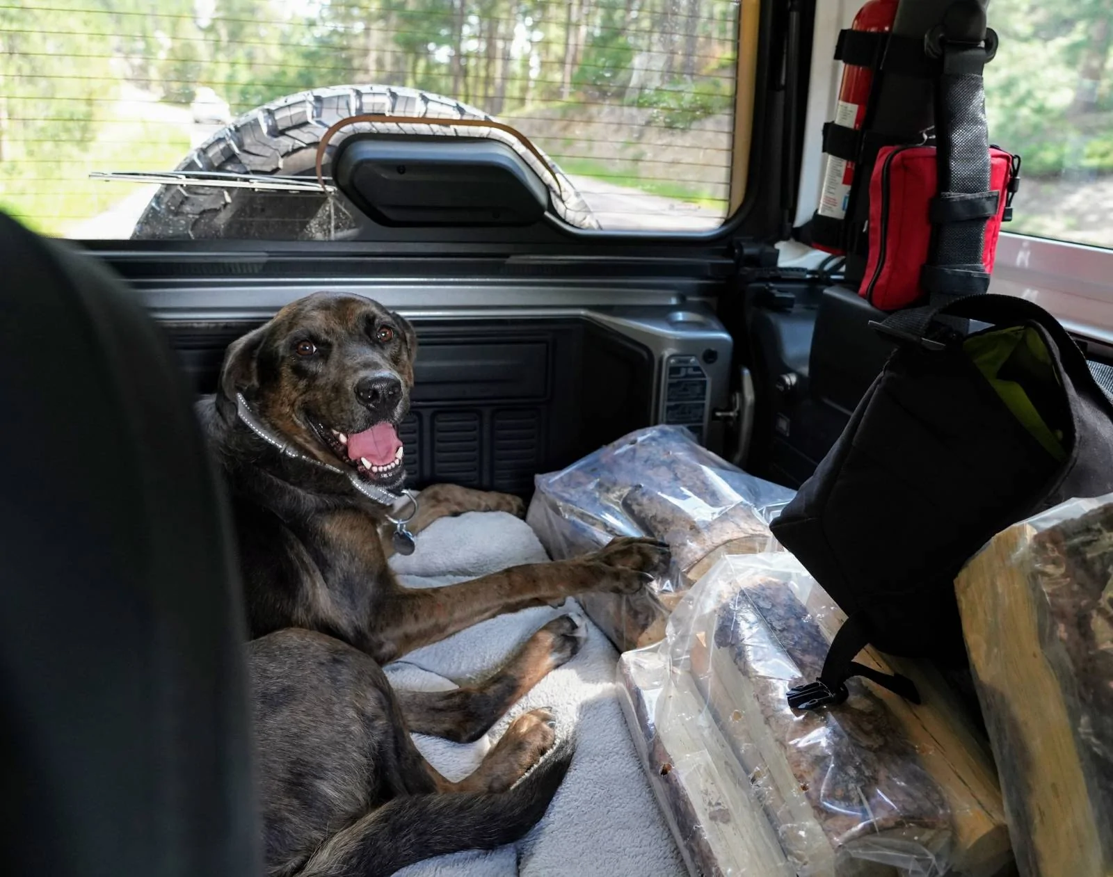 Jeep Wrangler JL Jeep Dog pics jeepin