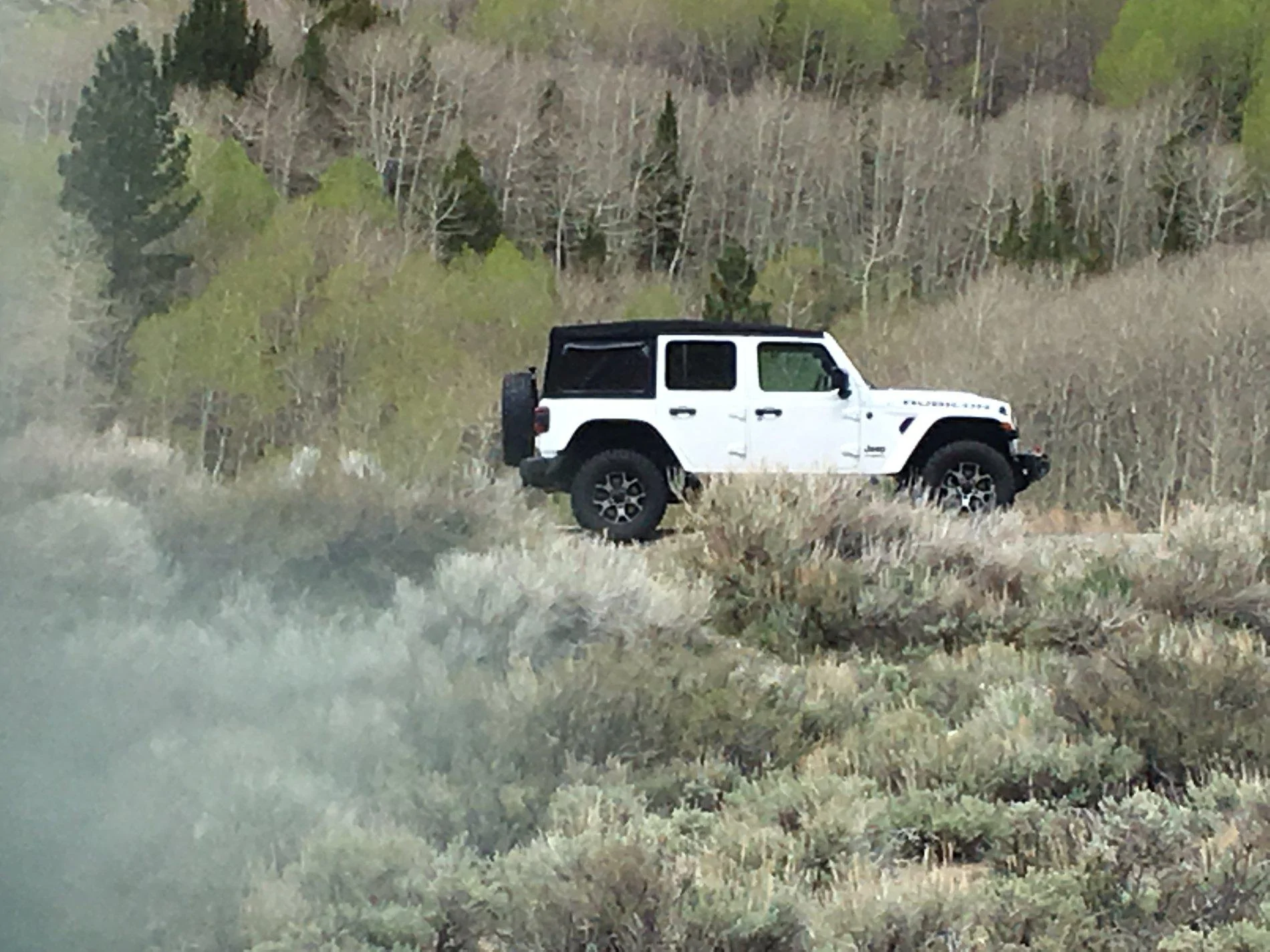 Jeep Wrangler JL No haggle Price! IMG_7806