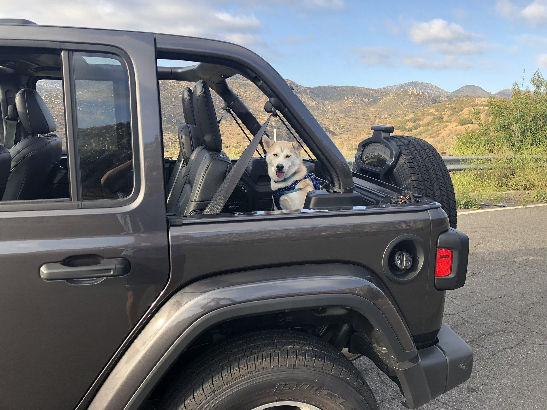 Jeep Wrangler JL Fellow Dog Lovers FE0EC5F1-2E73-413D-9F1D-A27C57F603D7