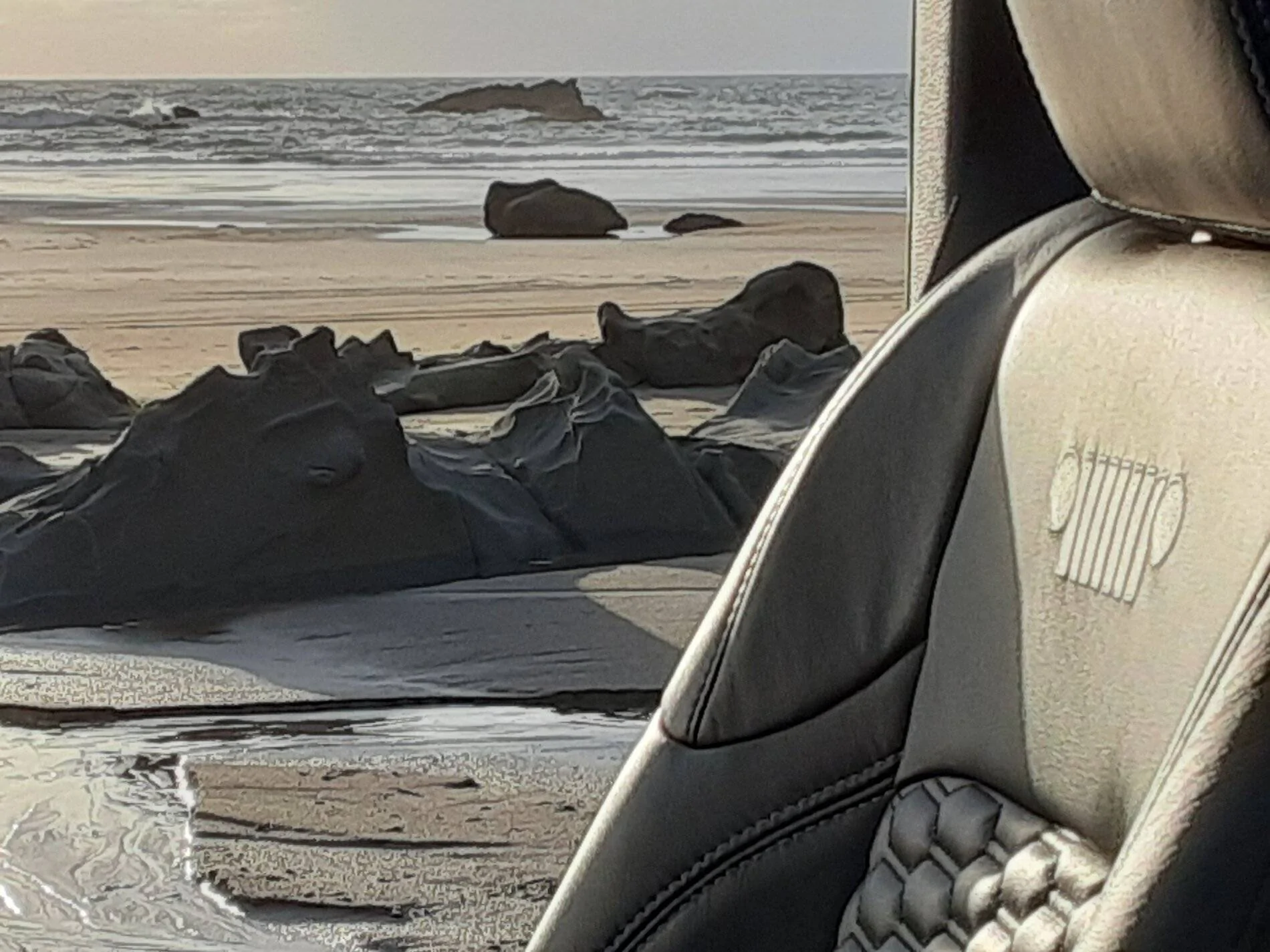 Jeep Wrangler JL Jeep Factory Leather Options 20200405_185545