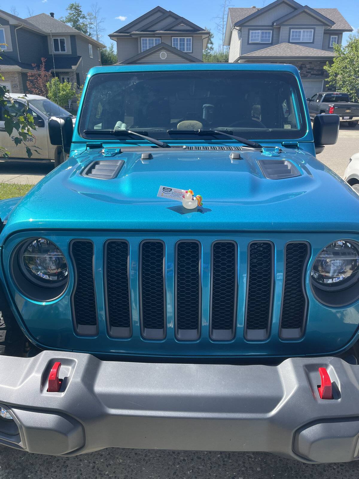 Jeep Wrangler JL Rubber Duck Rules? E01E0160-725A-49F3-AEFF-46A90BD12E12