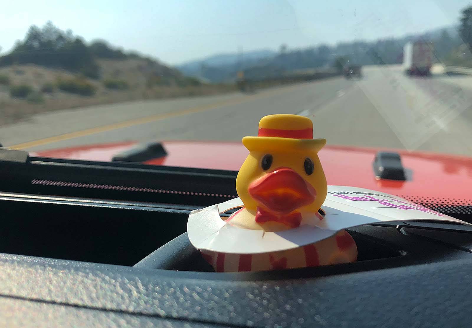 Jeep Wrangler JL Rubber Duck Rules? DuckDash