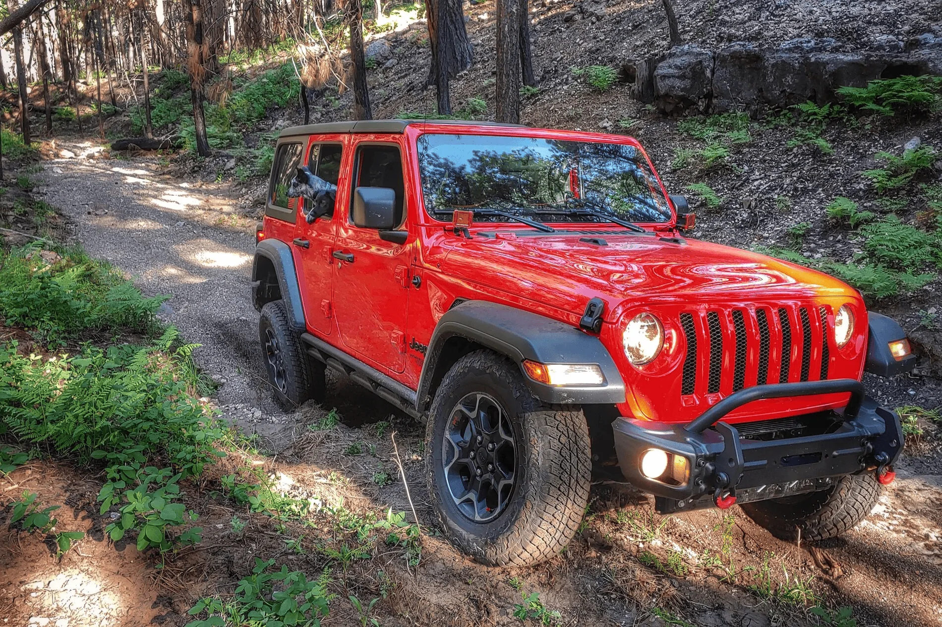Jeep Wrangler JL The Trail Snail: Stock Height Sport on 35s - Mod & Trip Log + BS 1630437706737
