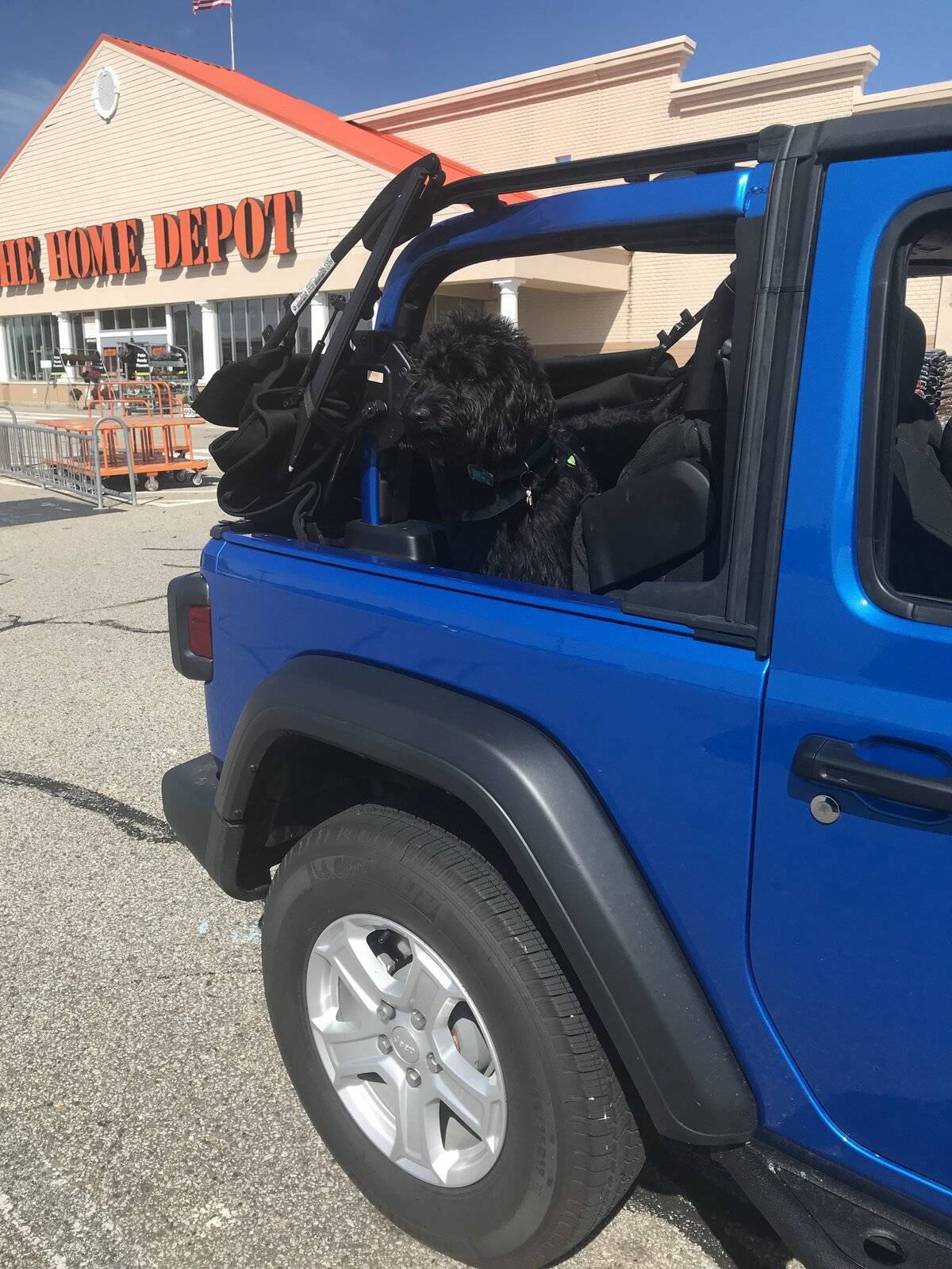 Jeep Wrangler JL Exterior Color Selection 0D340B65-613A-4543-8AD6-AD501B4B4CF1
