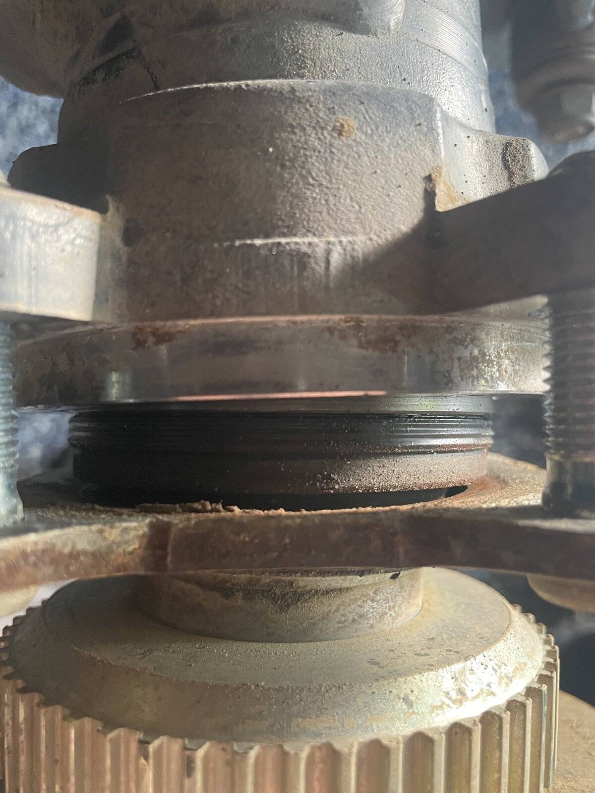 Jeep Wrangler JL Pain Train 3607A74E-DD41-4BDA-A782-F4AD3CE4B3B8