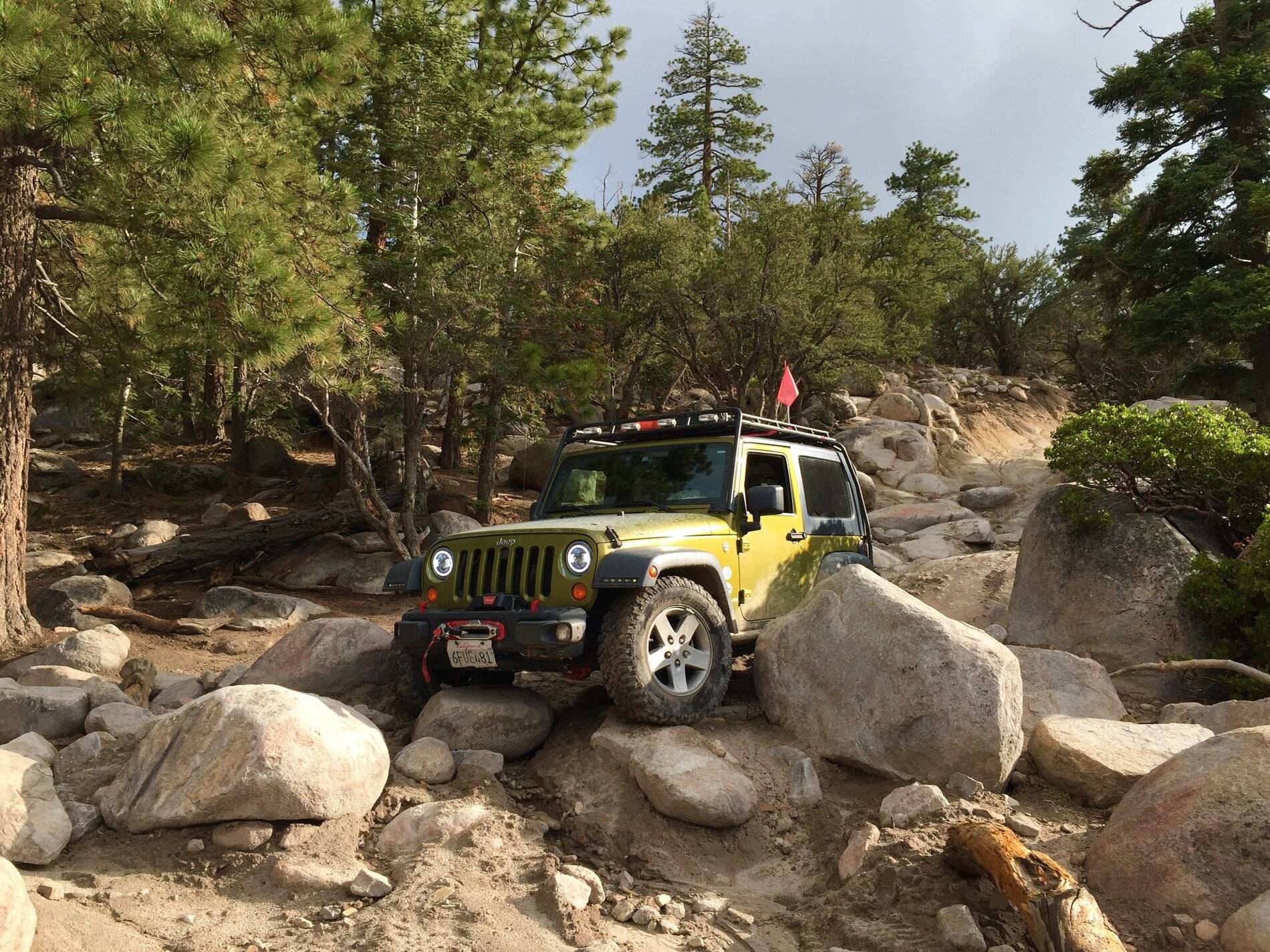Jeep Wrangler JL Whatcha name your Jeep? John Bull.JPEG