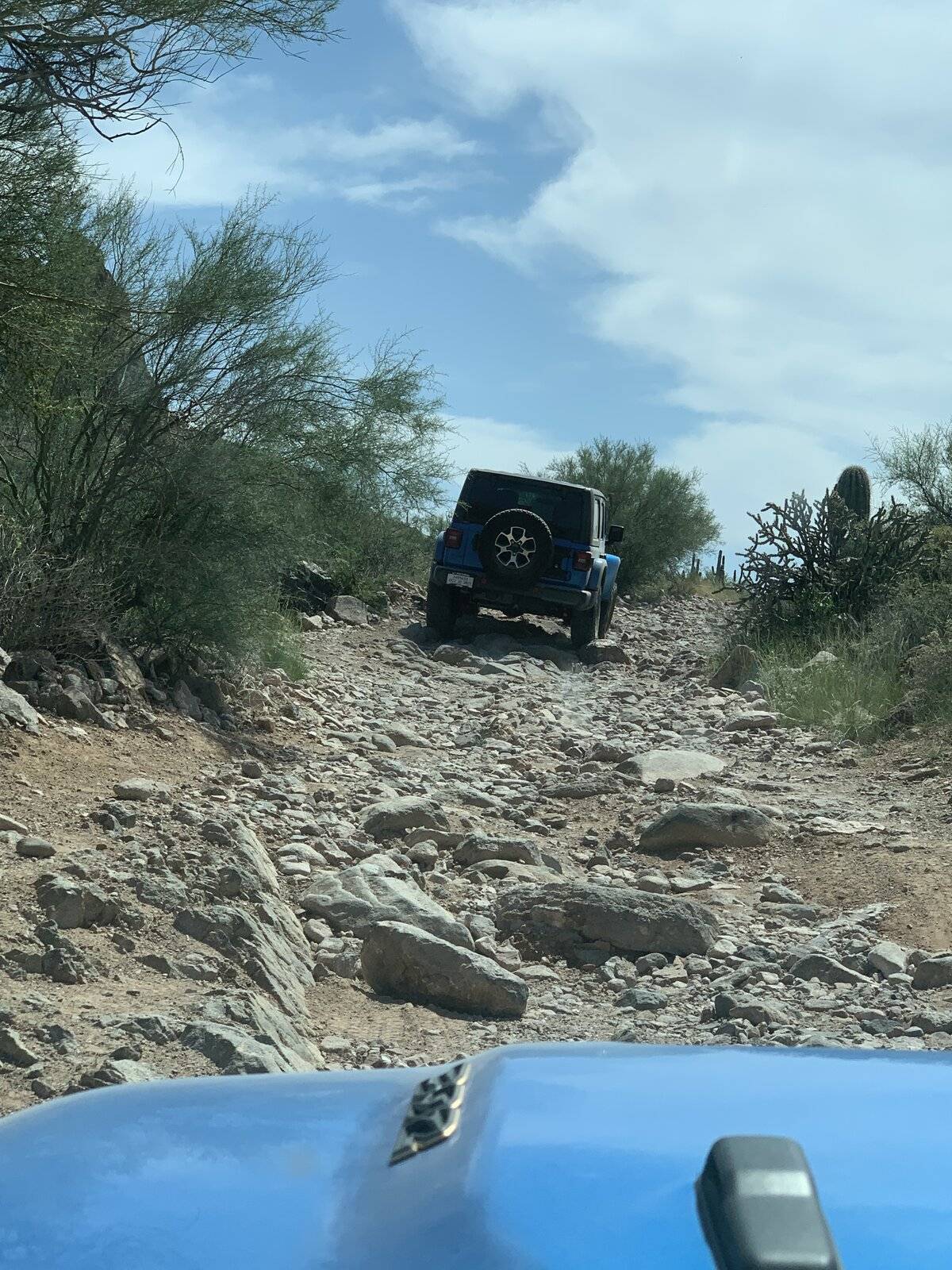 Jeep Wrangler JL Jeep Rubicon 392 Hydro Blue Build B30F47F1-C69E-4E83-9B6A-B8202C23BEC9