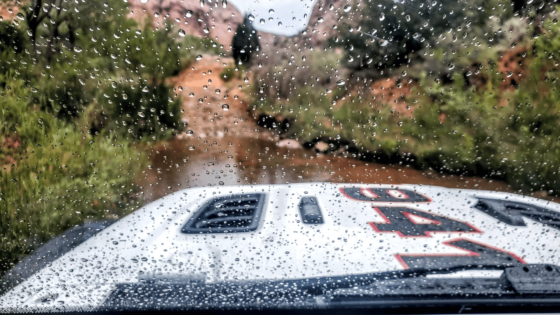 Jeep Wrangler JL Picture thread: My Jeep Survived That..... 1632216250538