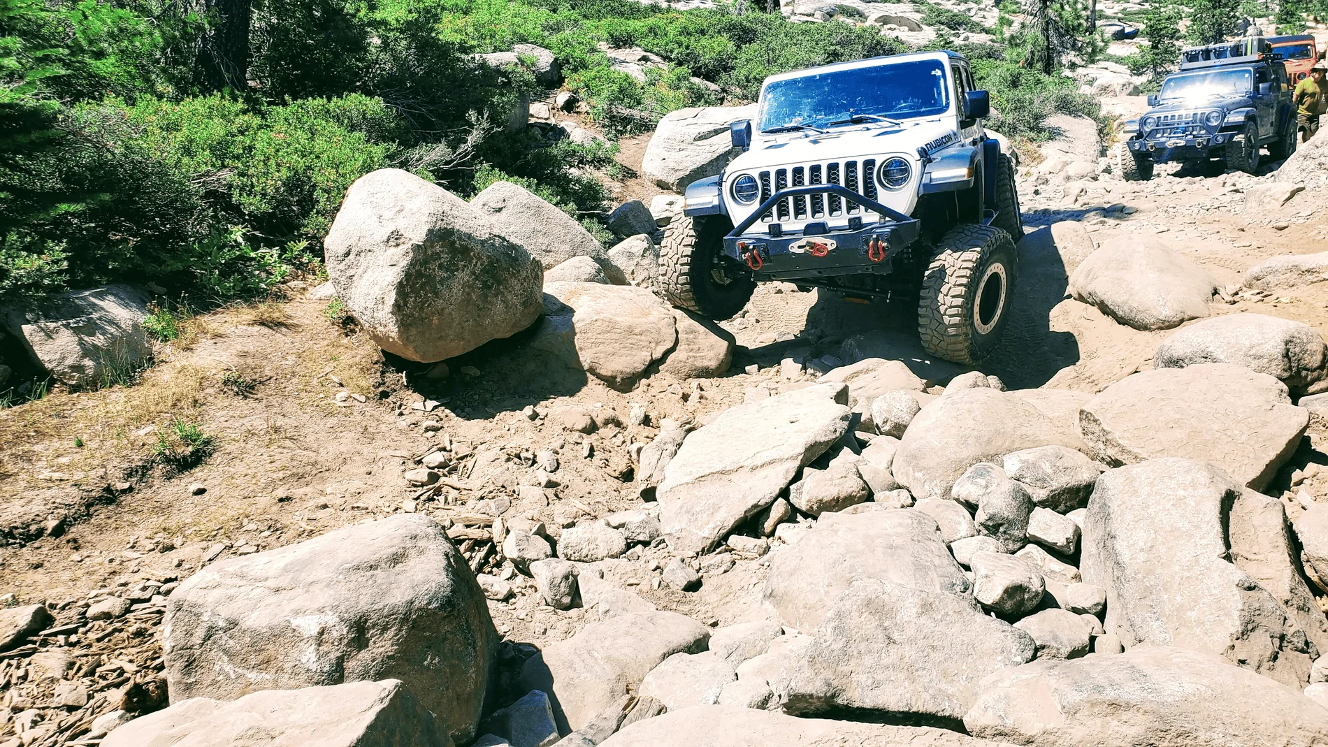 Jeep Wrangler JL Picture thread: My Jeep Survived That..... 1632216380067
