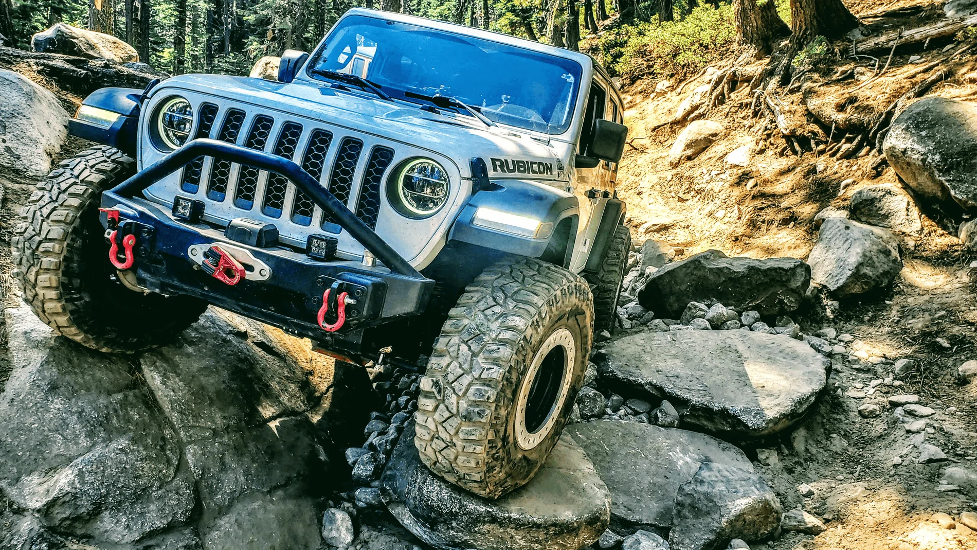 Jeep Wrangler JL Picture thread: My Jeep Survived That..... 1632216458994