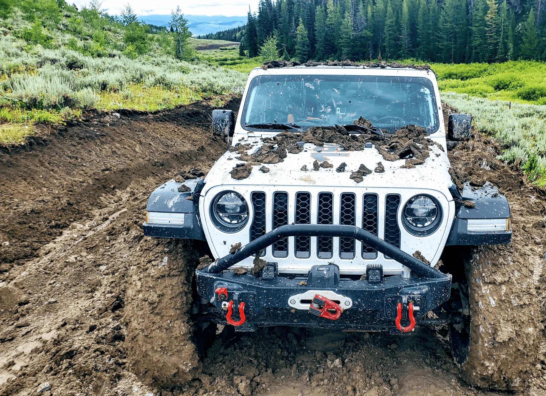 Jeep Wrangler JL Picture thread: My Jeep Survived That..... 1632216503210