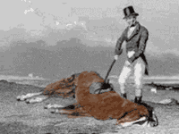 Jeep Wrangler JL Foolish salesperson beating-dead-horse-gif-2