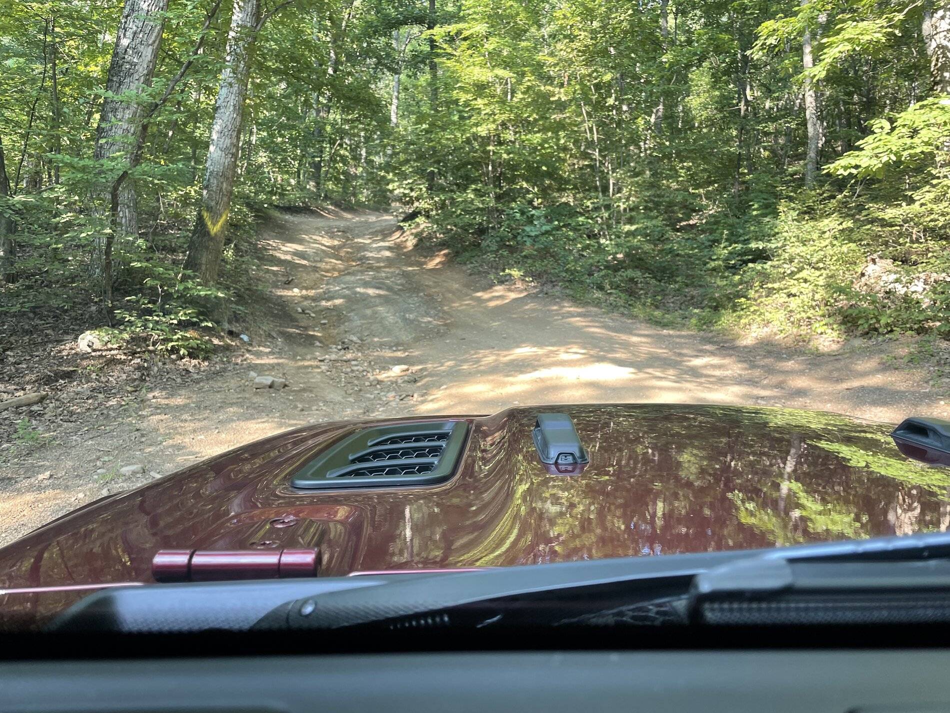 Jeep Wrangler JL Picture thread: My Jeep Survived That..... 08FDAC67-1F07-404D-8E6E-84BB5189DF17