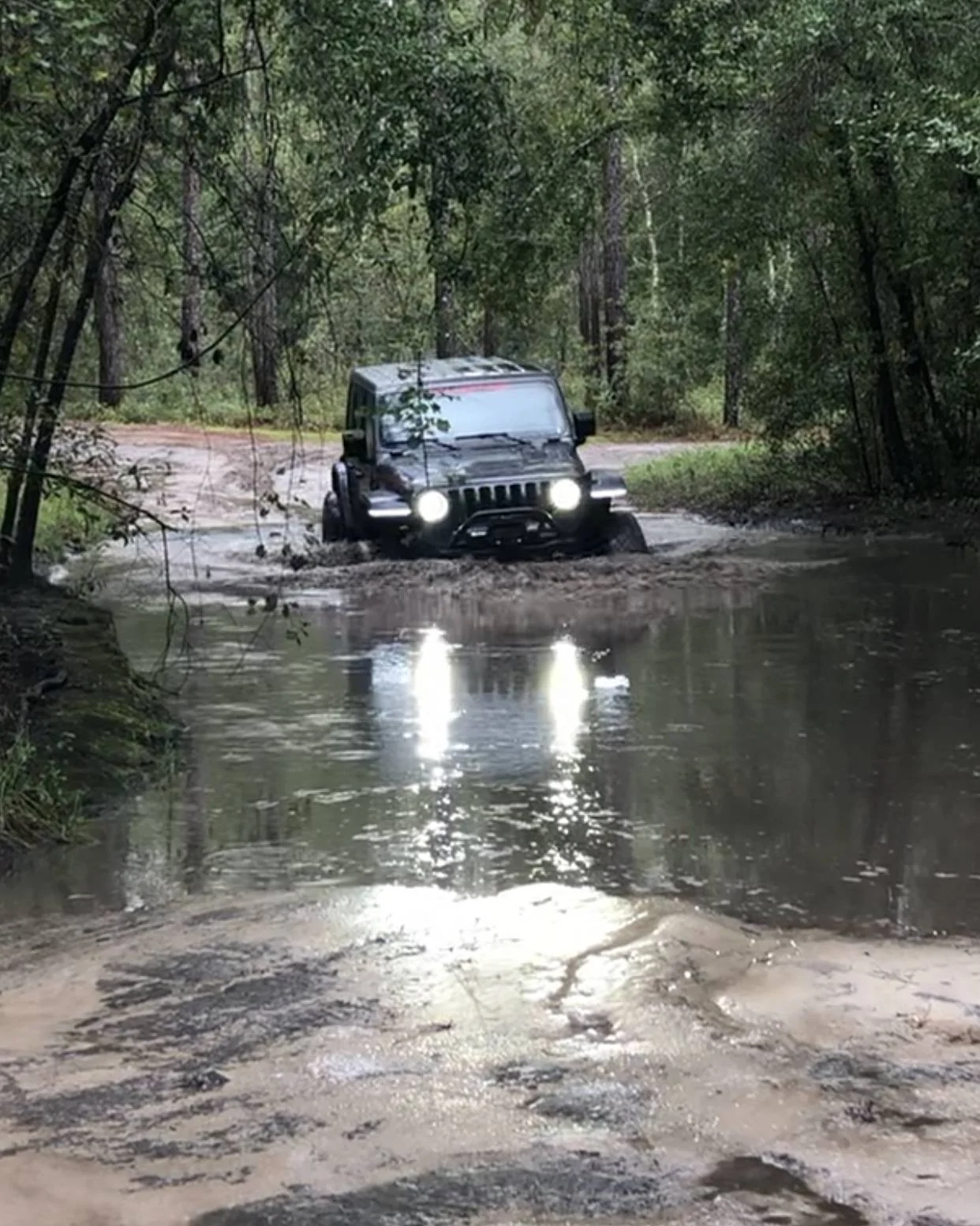 Jeep Wrangler JL Picture thread: My Jeep Survived That..... 46024E5A-9E6C-47CC-9D0E-A7160F115C7B