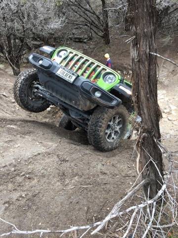 Jeep Wrangler JL Picture thread: My Jeep Survived That..... IMG_6596