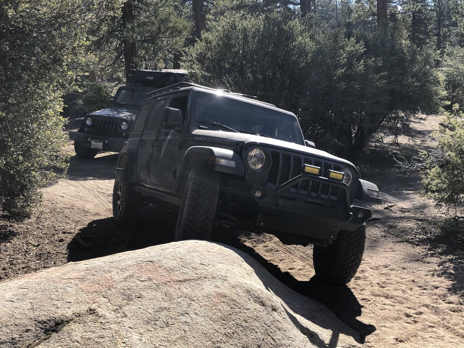 Jeep Wrangler JL Picture thread: My Jeep Survived That..... flexin