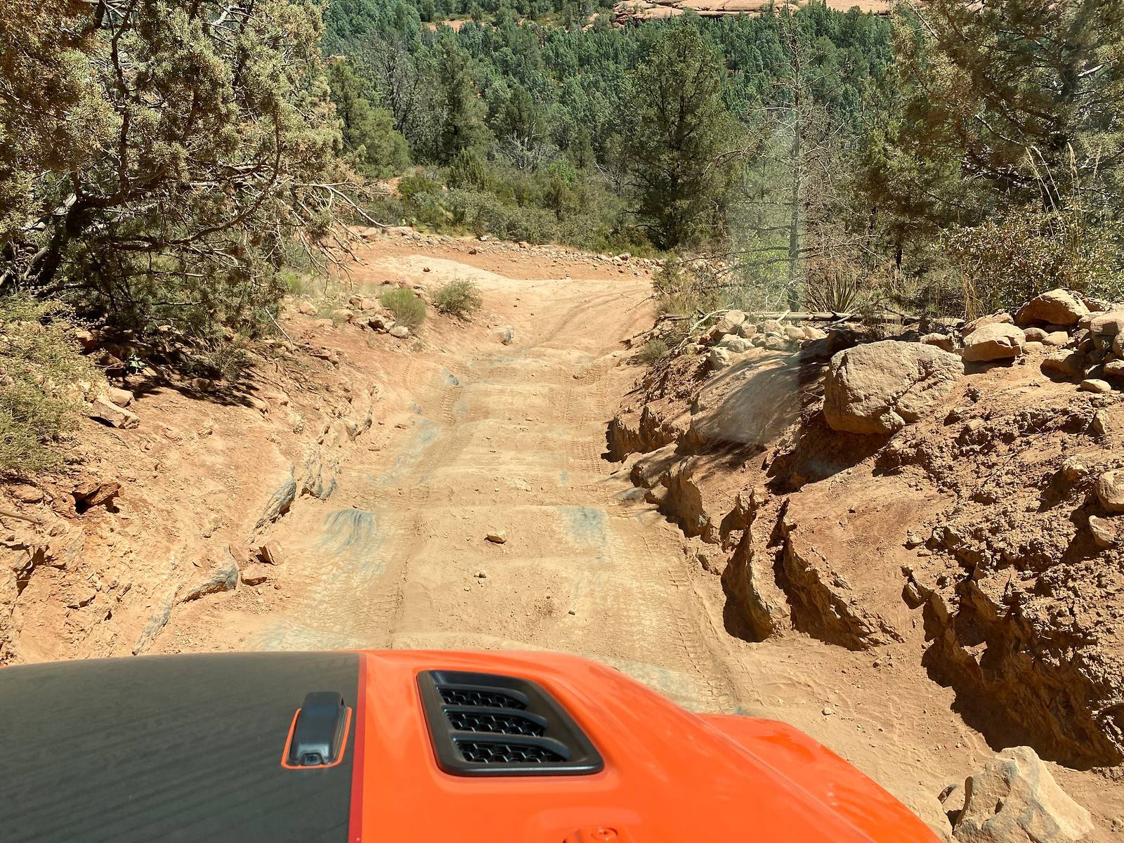 Jeep Wrangler JL Picture thread: My Jeep Survived That..... EFCC586C-41E2-4EAA-A4DE-B5198D39ED4A-X3