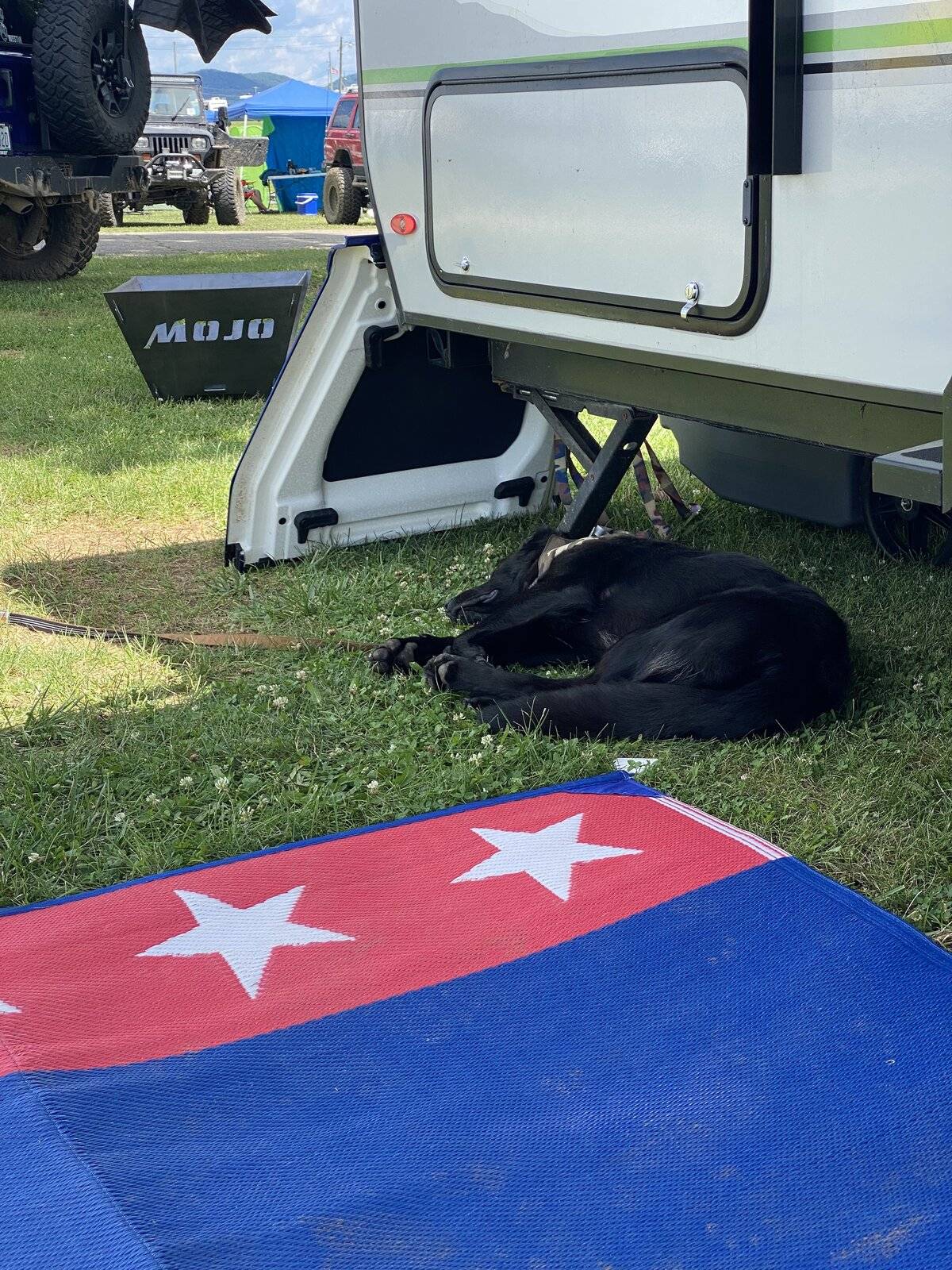 Jeep Wrangler JL Camping with dog 64B2BE94-0E0C-469F-A37A-705F403A602E