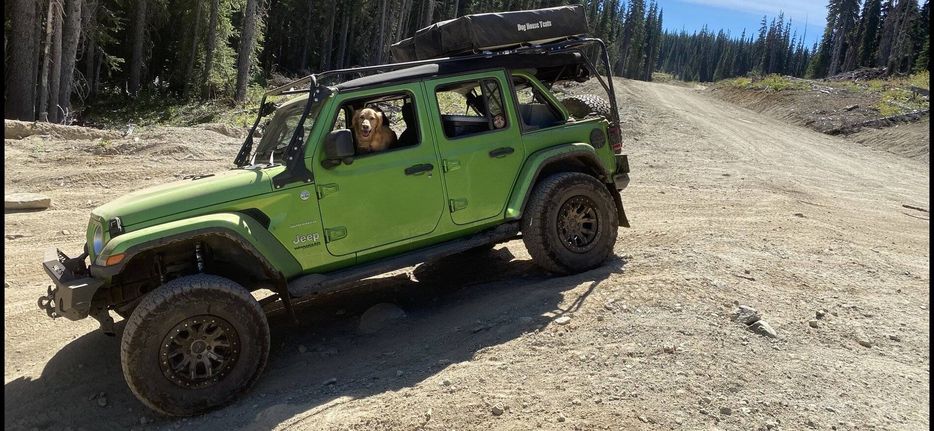 Jeep Wrangler JL Jeep Dog pics 27B027C4-E48F-4D50-B6CF-A9582B9CA92E