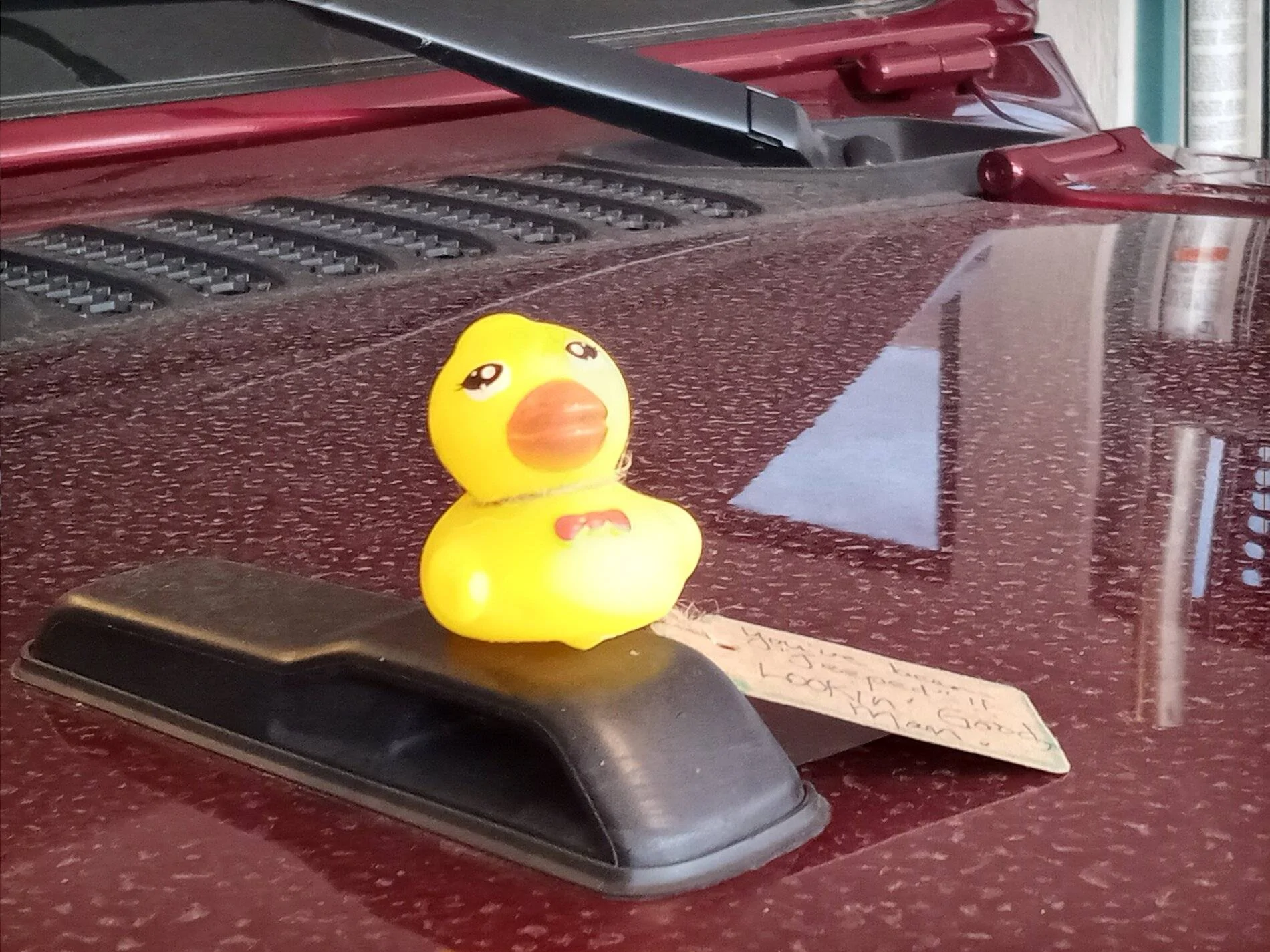 Jeep Wrangler JL Rubber Duck Rules? Duck 01