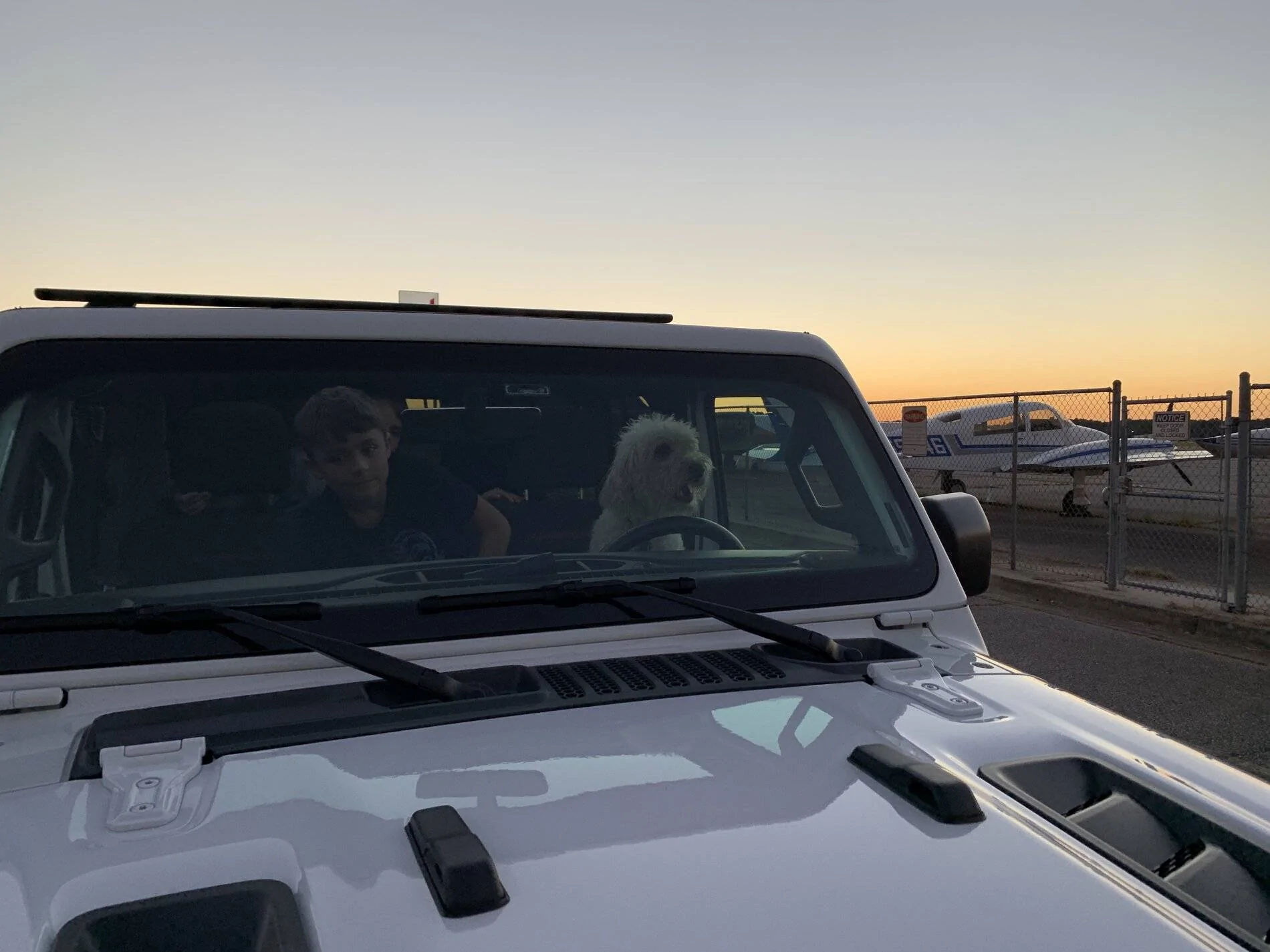 Jeep Wrangler JL Jeep Dog pics 4861EA79-C0BC-4240-A4D7-DDF0438752E5