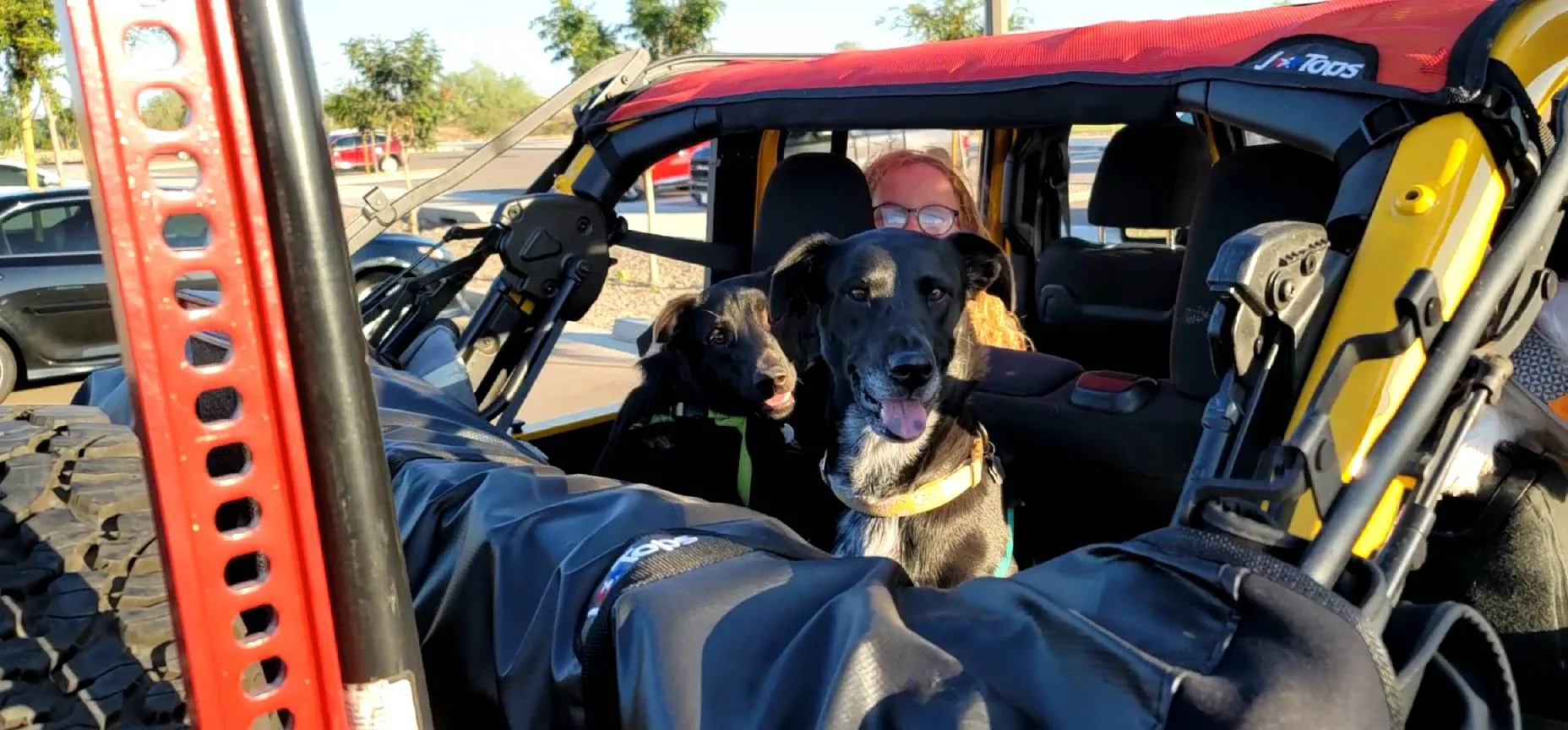 Jeep Wrangler JL Jeep Dog pics 20211002_072620_captur