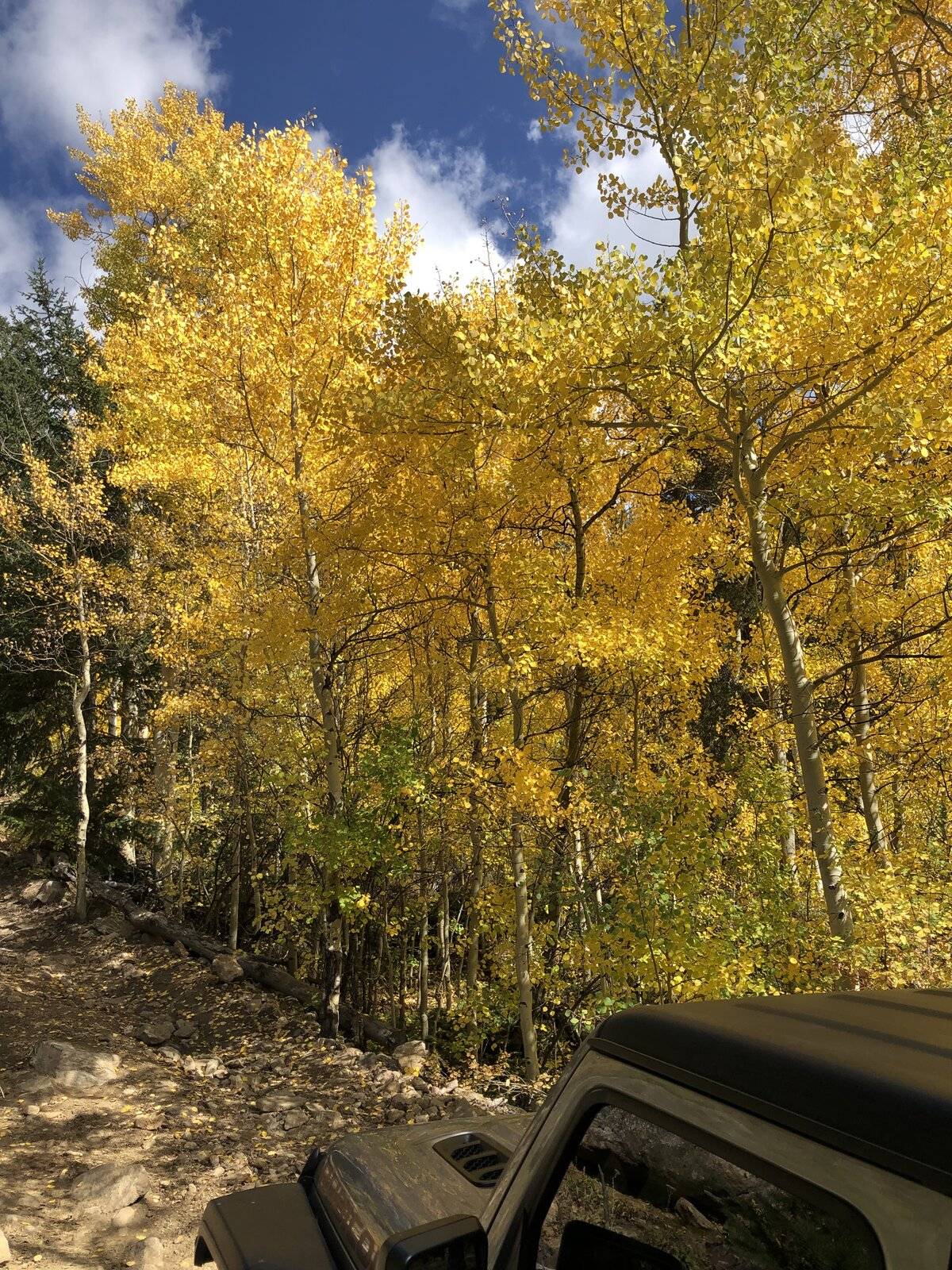 Jeep Wrangler JL Colorado Fall Colors, What Trails? BD6E38DD-73CA-44C0-9670-FDC9A5BDDF98