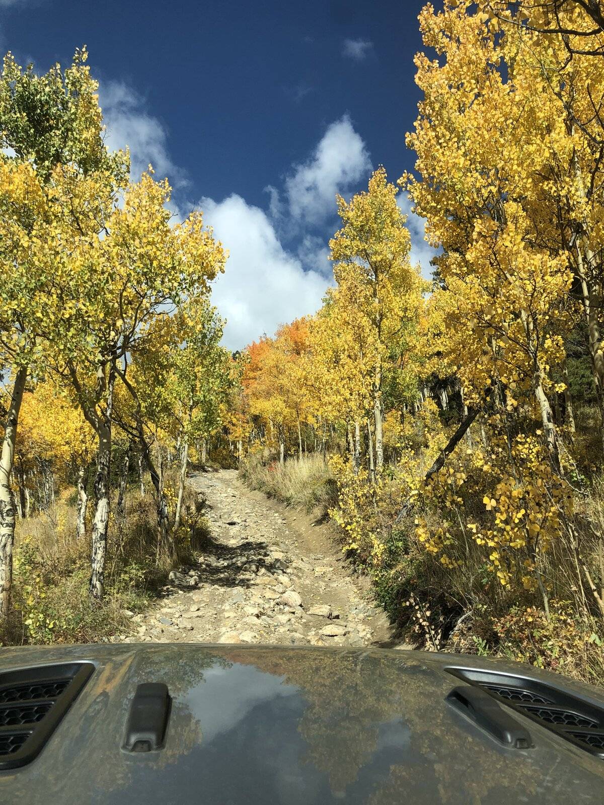 Jeep Wrangler JL Colorado Fall Colors, What Trails? BAA4C378-0B7A-447C-AC43-93975D0D0097